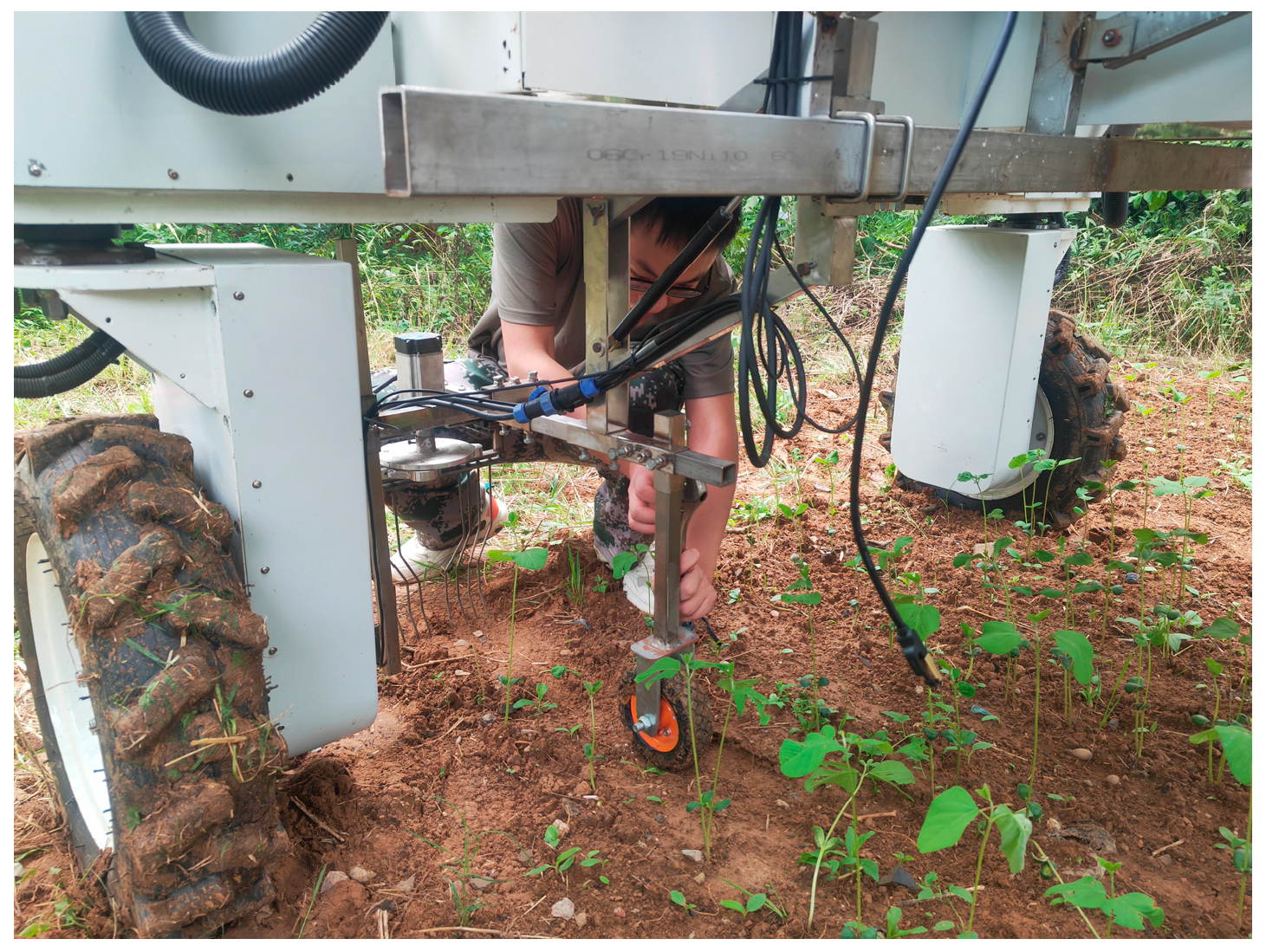 Agriculture 13 02157 g018