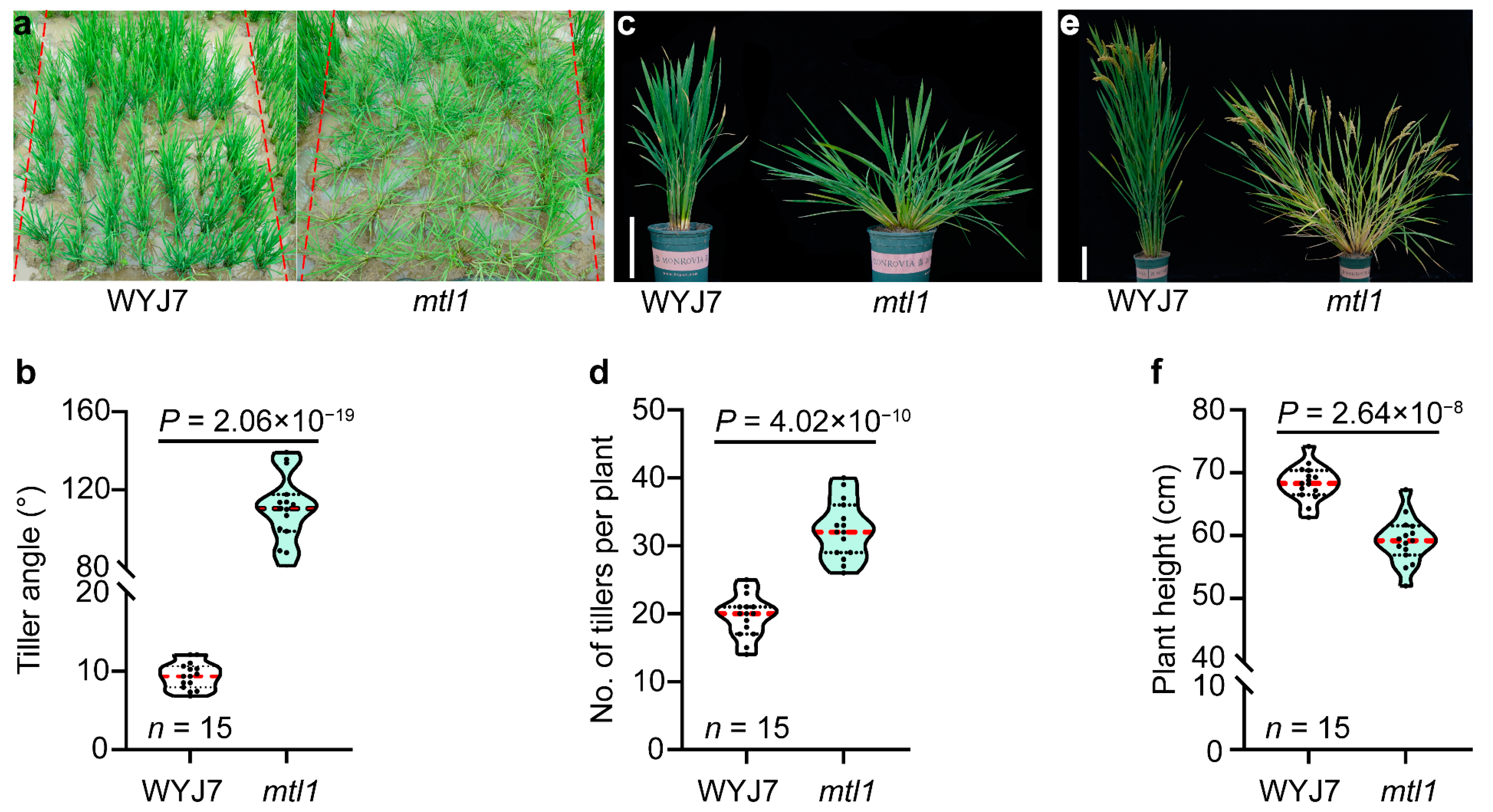 Agriculture 13 02166 g001