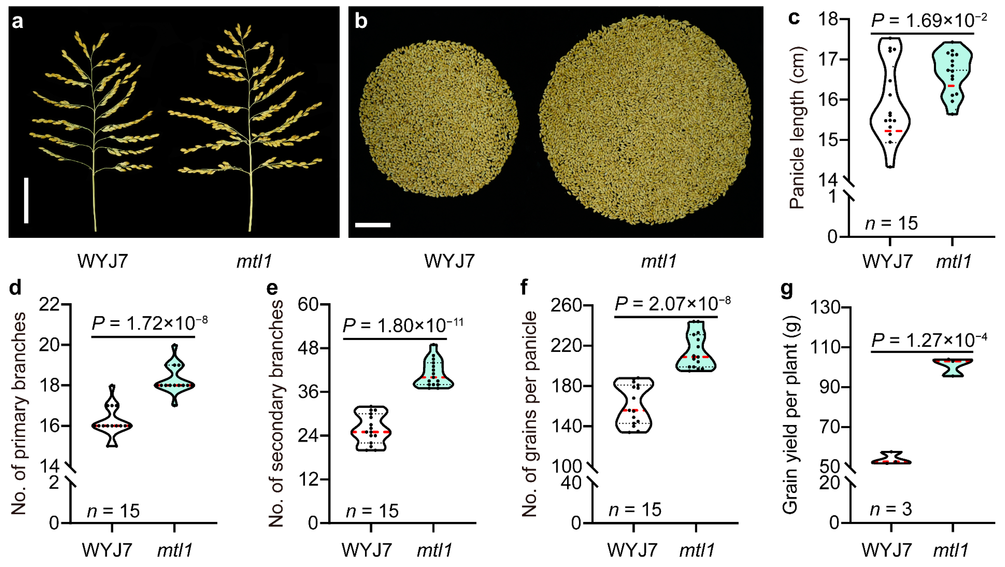 Agriculture 13 02166 g002