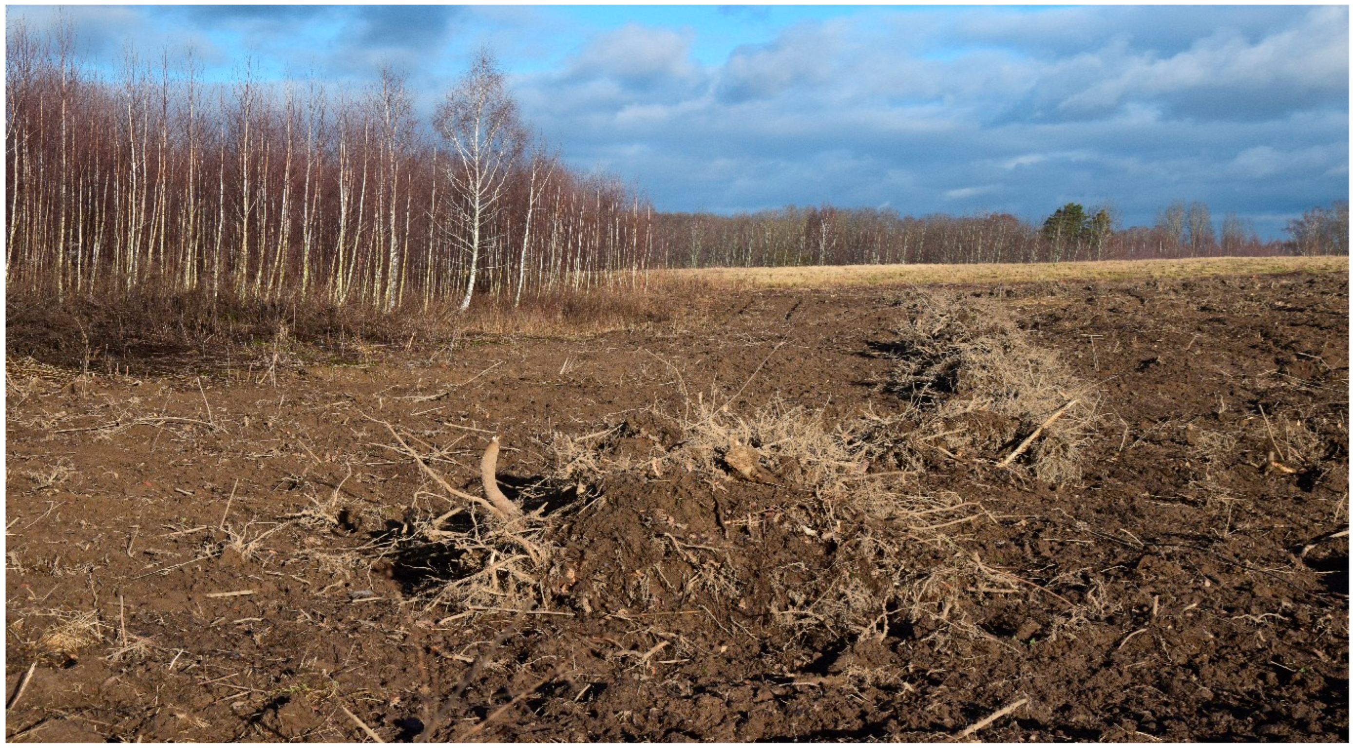 Agriculture 13 02174 g003