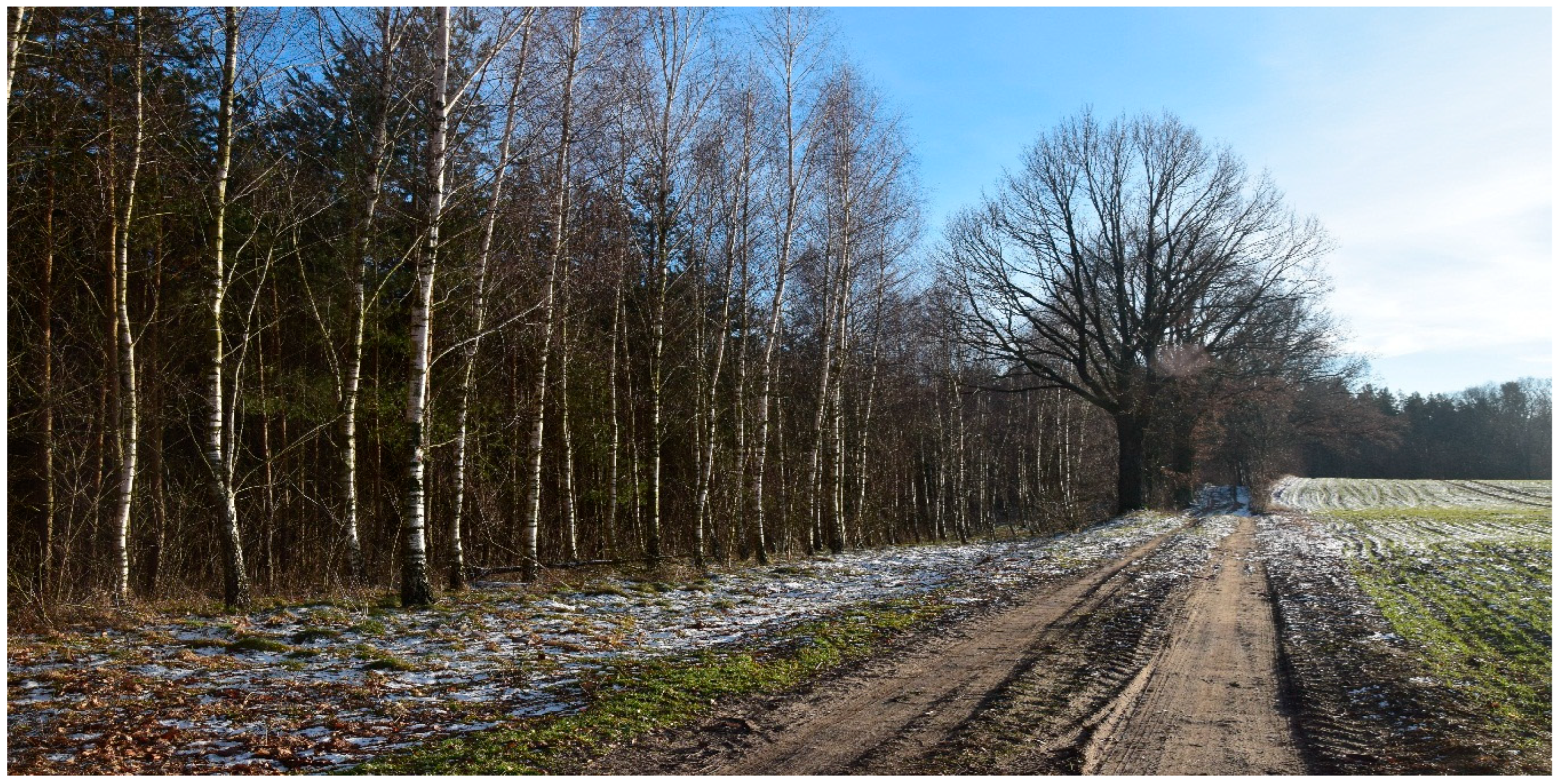 Agriculture 13 02174 g004