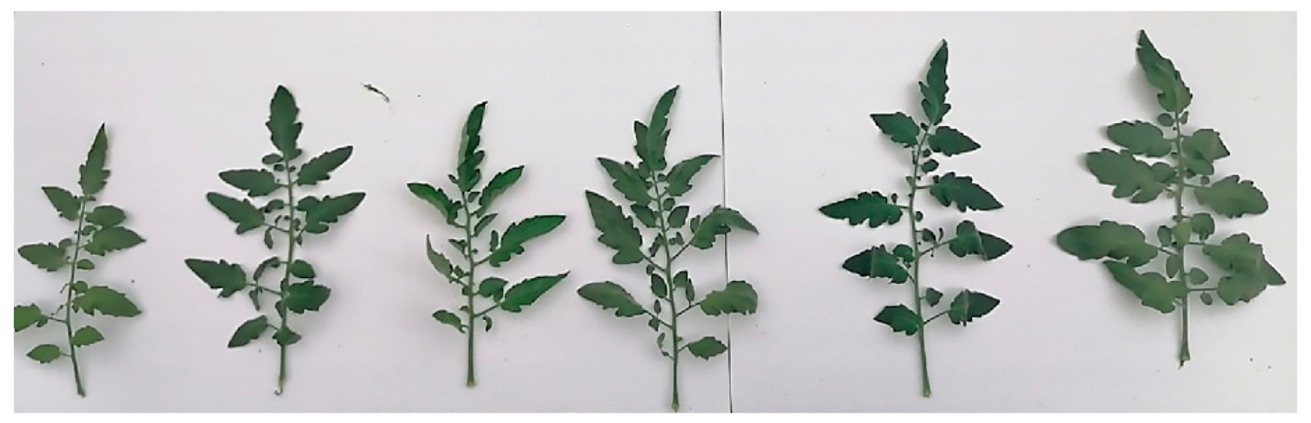 Agriculture 13 02175 g002