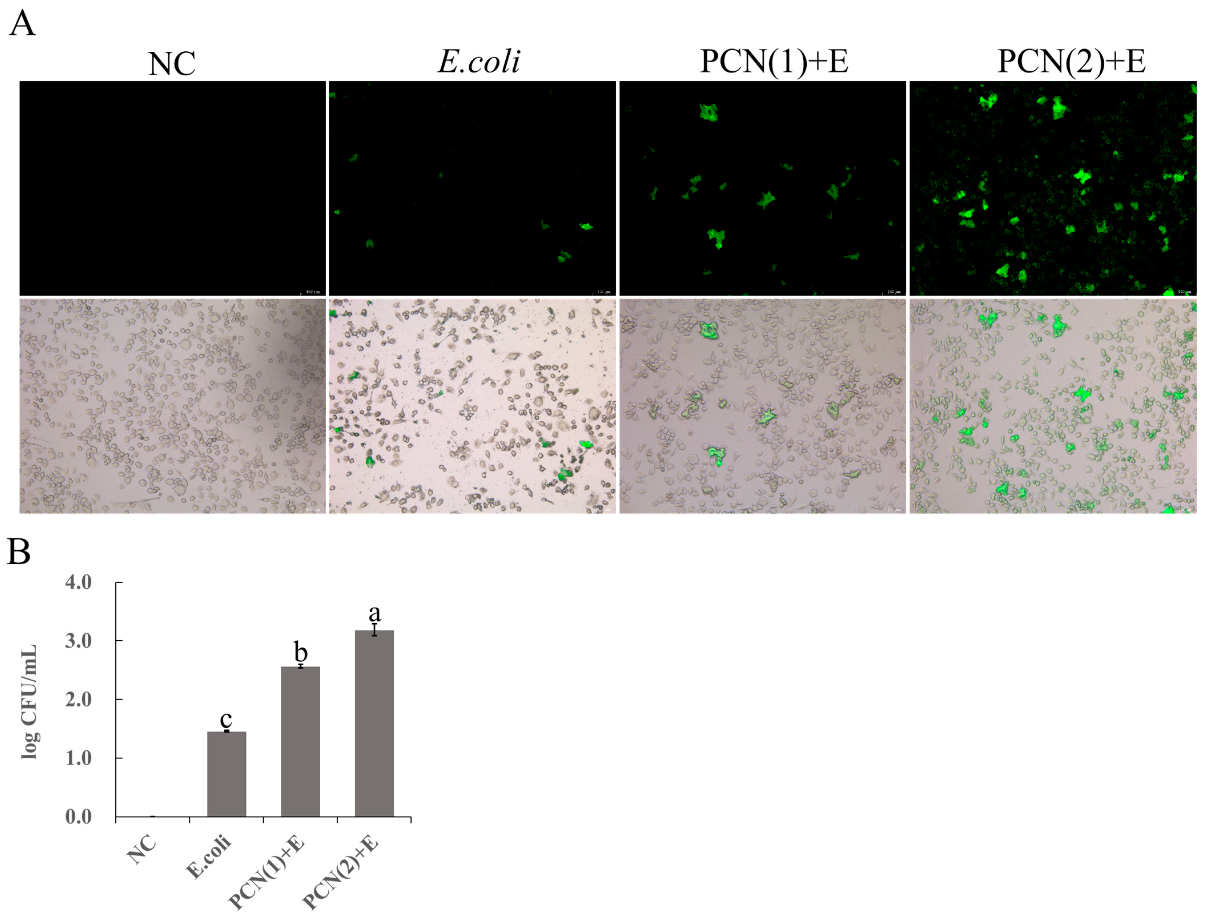 Agriculture 13 02192 g001