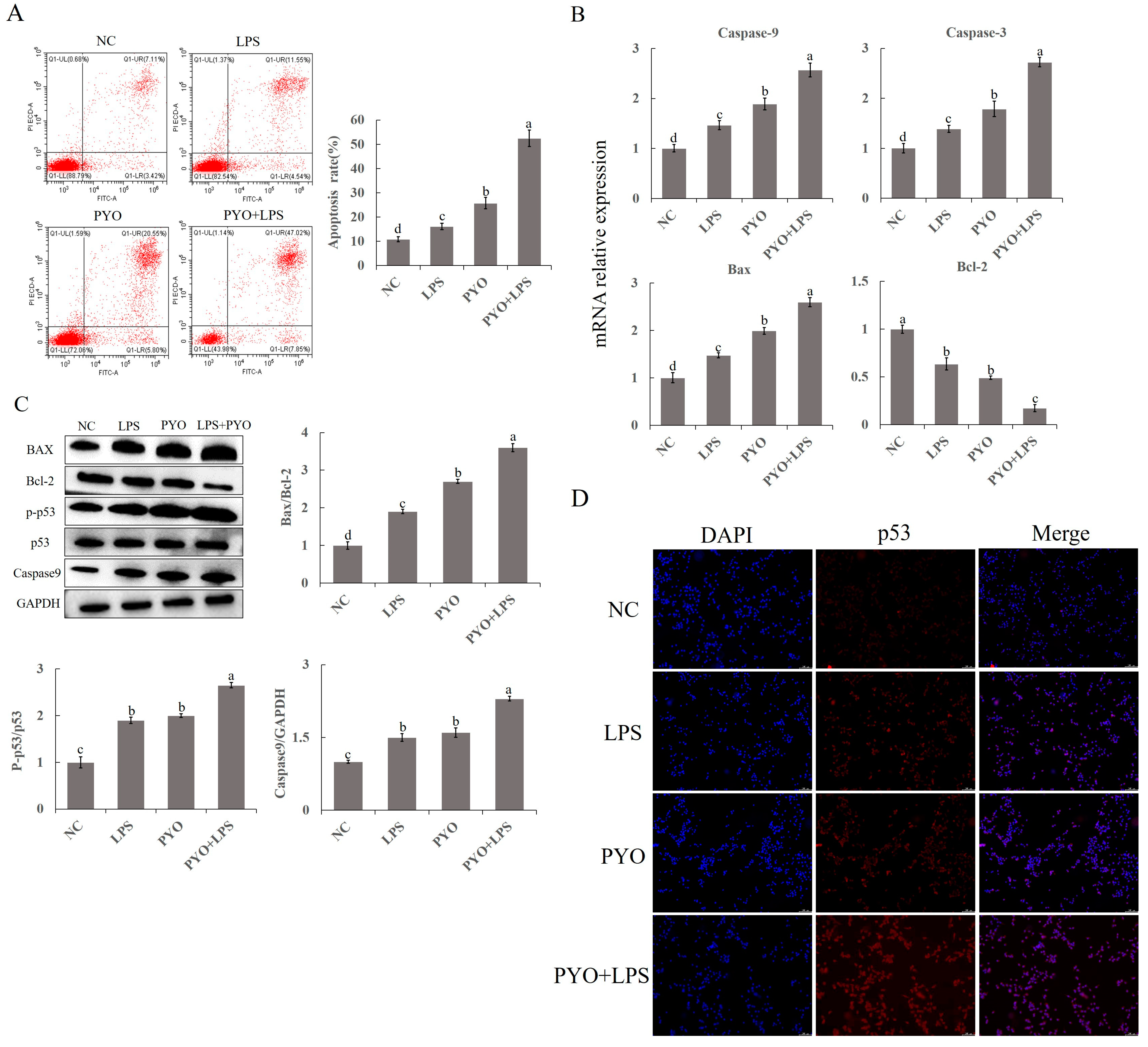 Agriculture 13 02192 g003