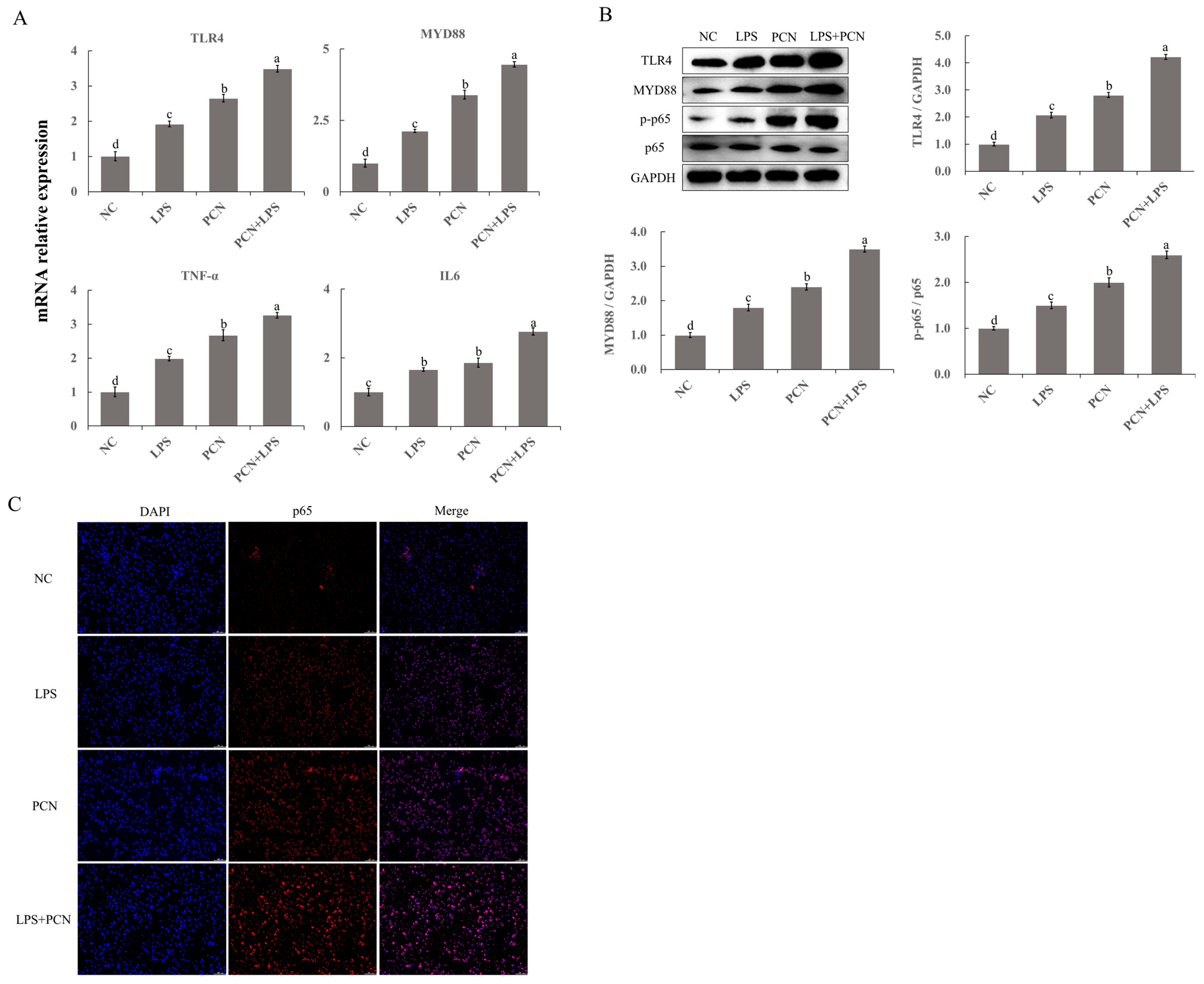 Agriculture 13 02192 g004