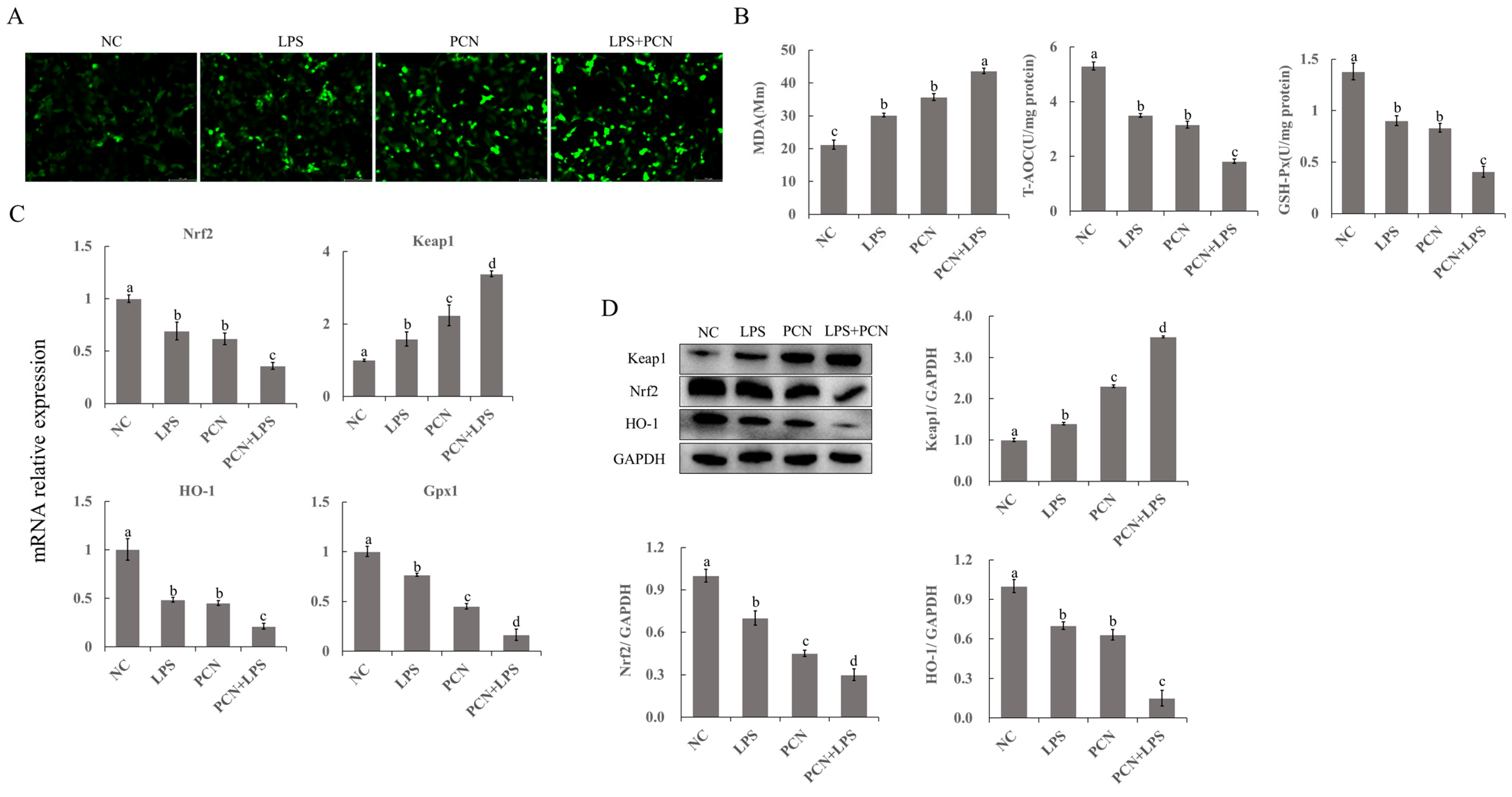 Agriculture 13 02192 g005