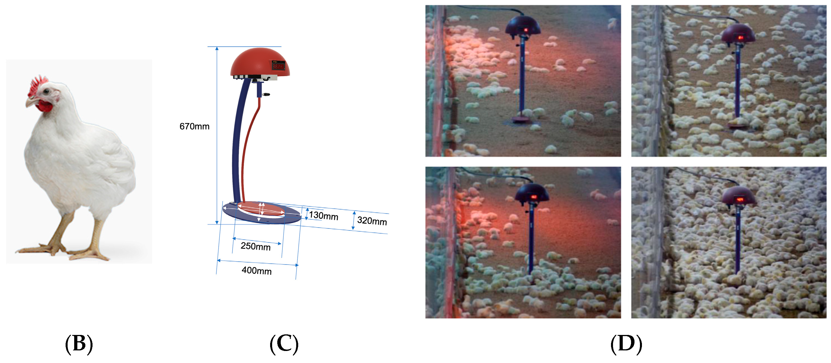 Agriculture 13 02193 g003b