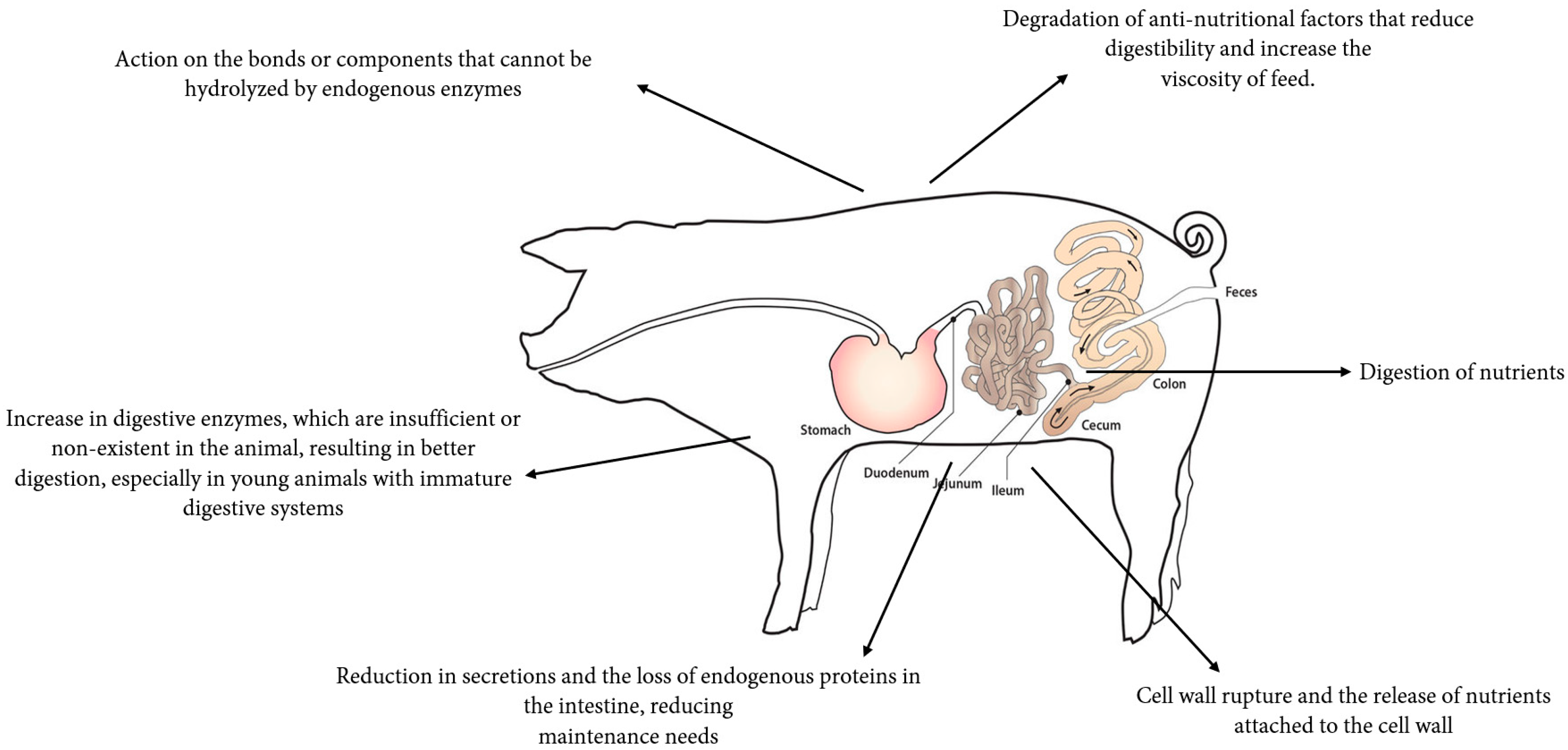 Agriculture 13 02195 g002 Agriculture 13 02195 g002