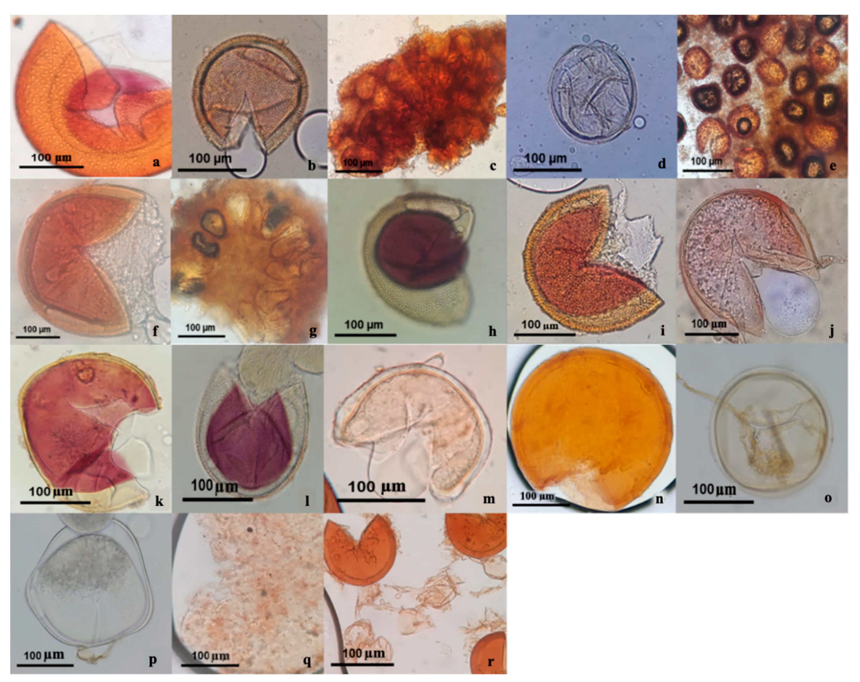 Agriculture 13 02197 g002