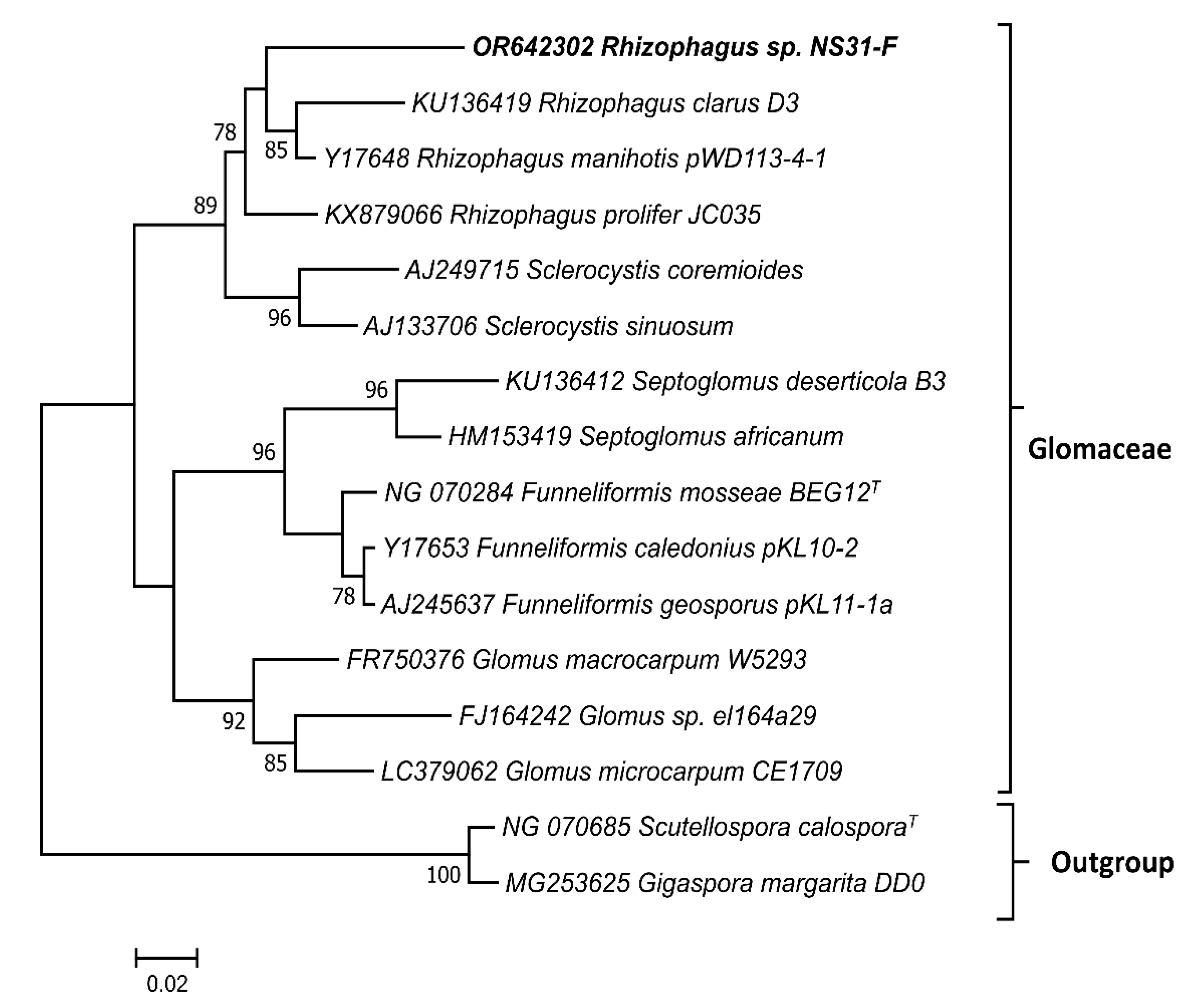 Agriculture 13 02197 g003