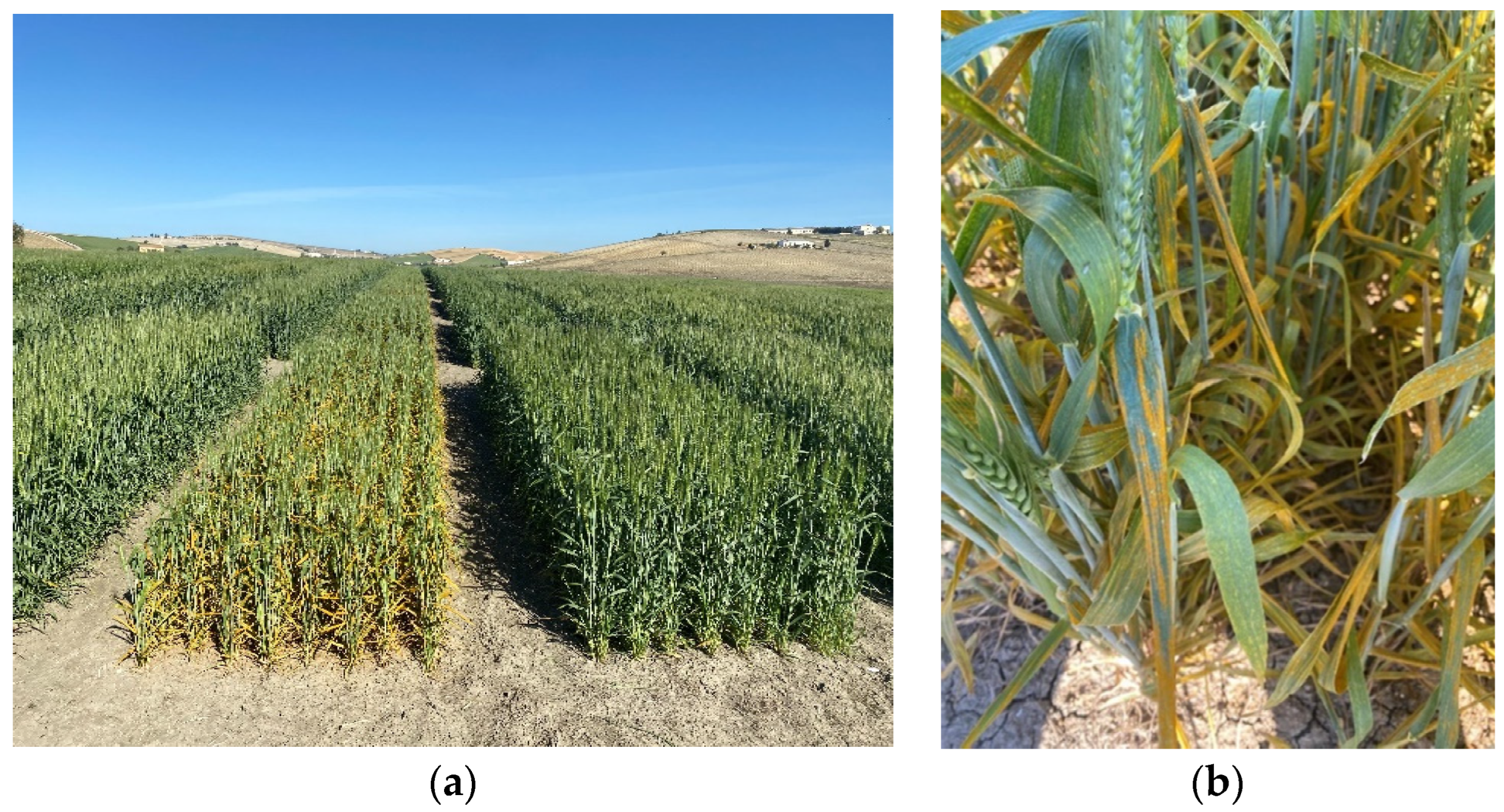 Agriculture 13 02202 g001 Agriculture 13 02202 g001