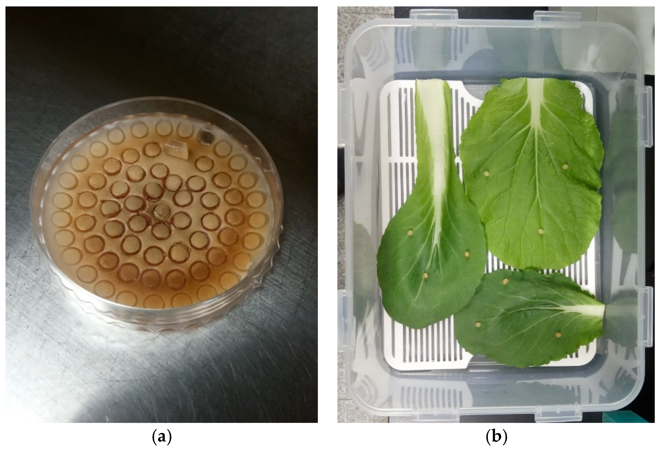 Agriculture 13 02215 g003