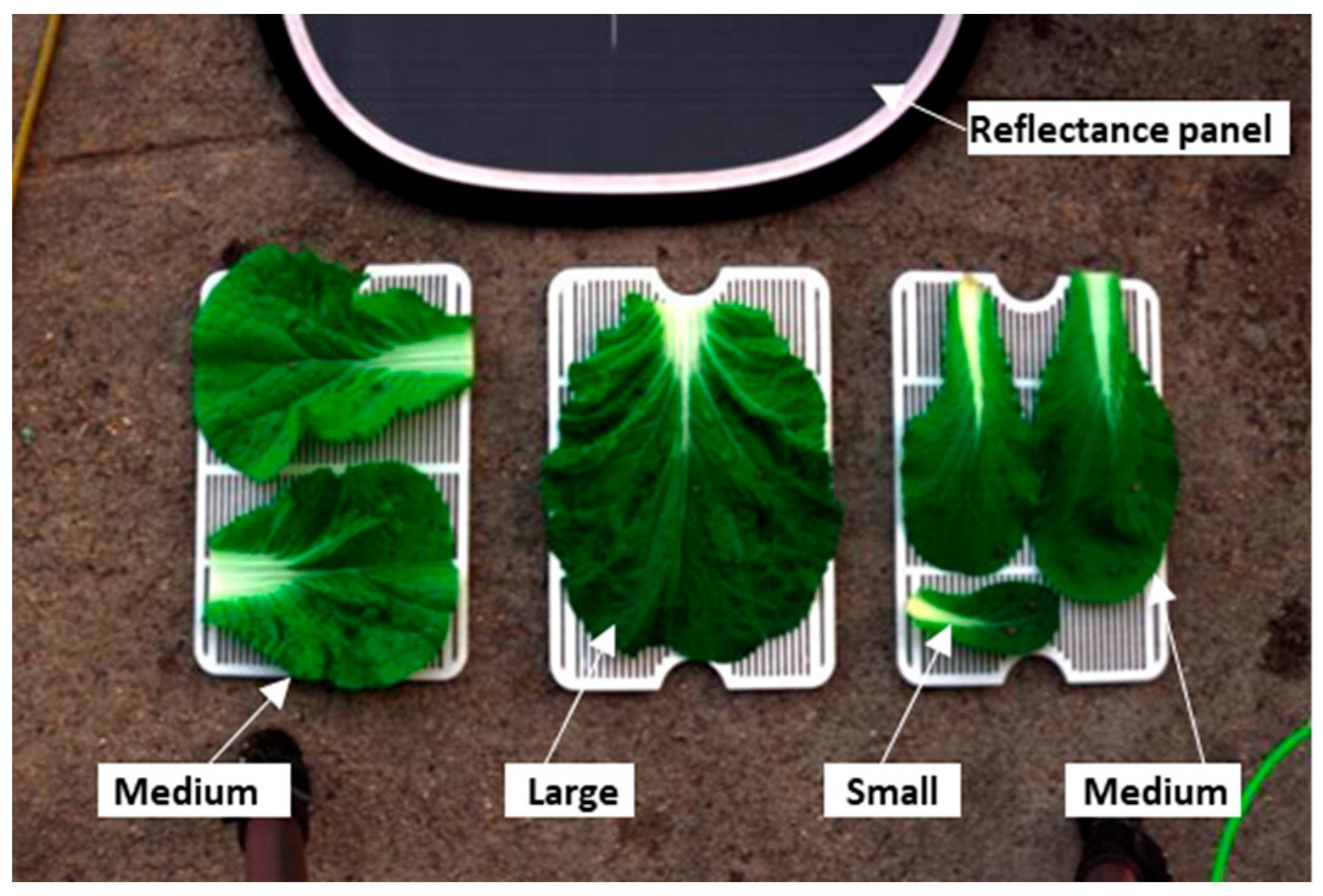 Agriculture 13 02215 g005