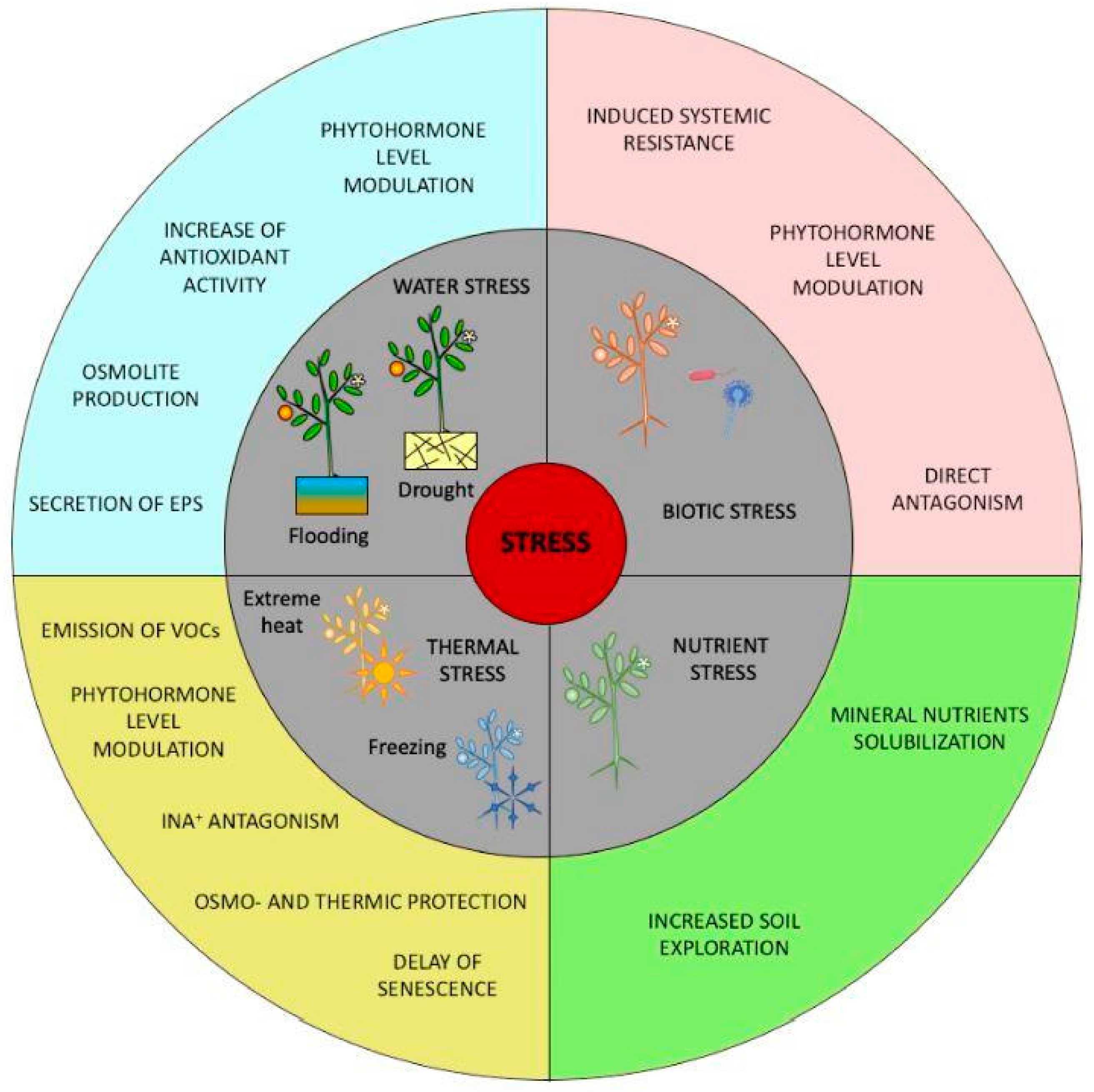 Agriculture 13 02223 g002