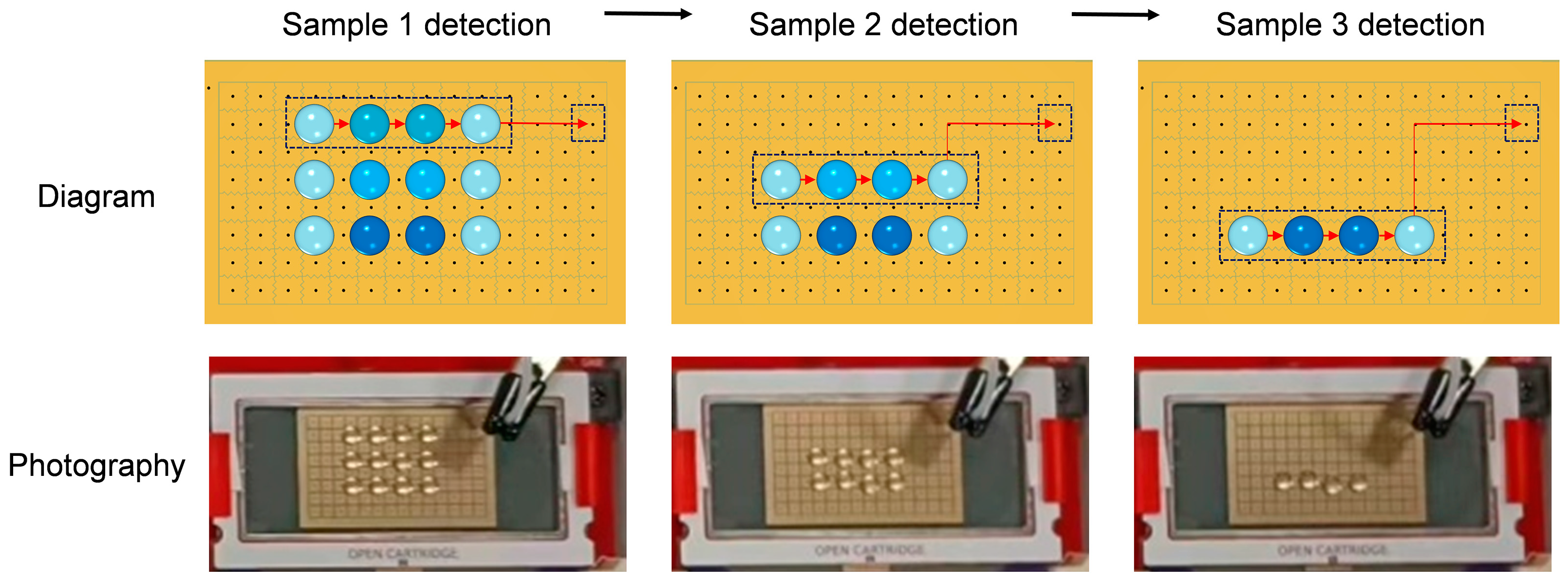Agriculture 13 02226 g007