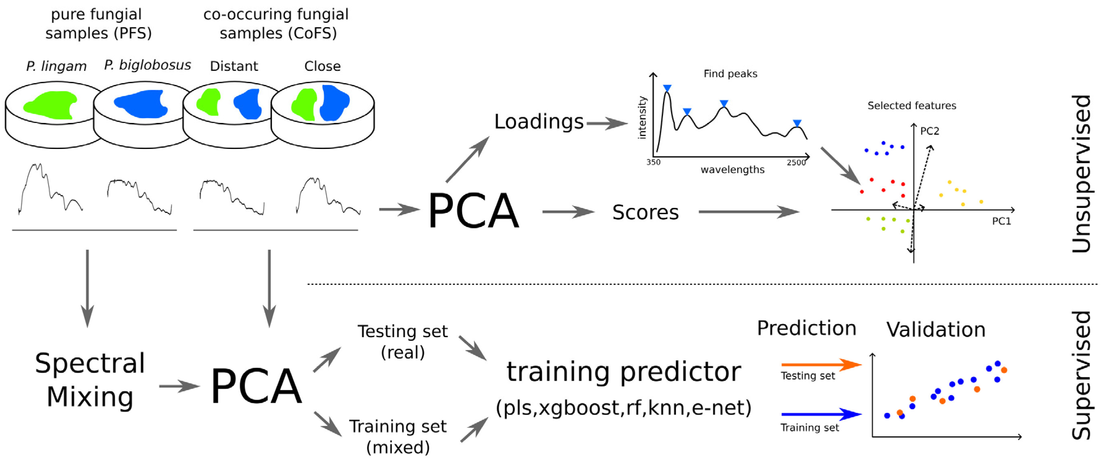 Agriculture 13 02228 g001