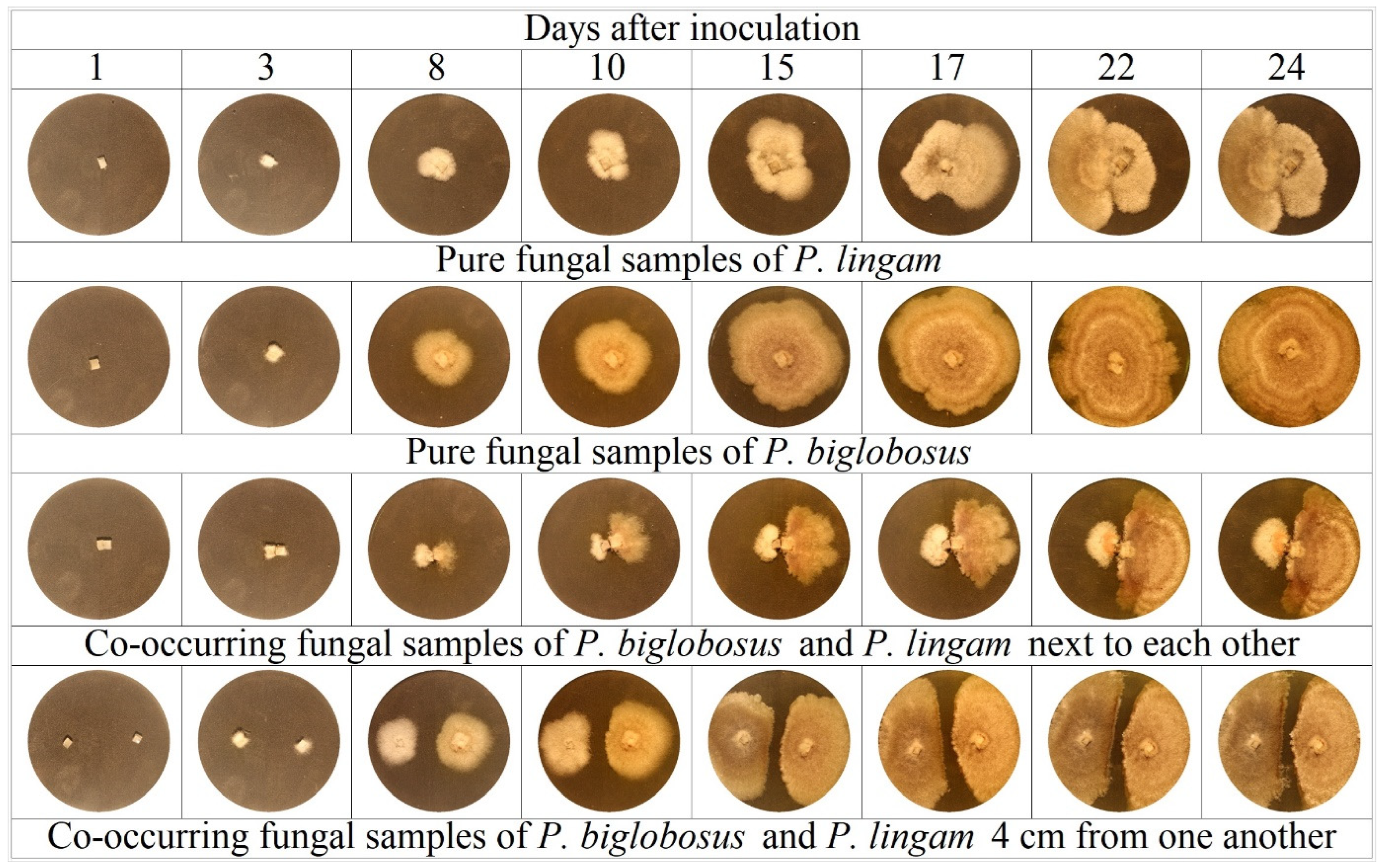 Agriculture 13 02228 g002