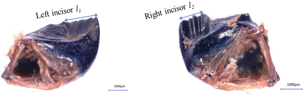 Agriculture 13 02231 g003