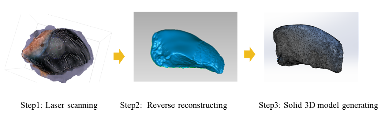 Agriculture 13 02231 g004