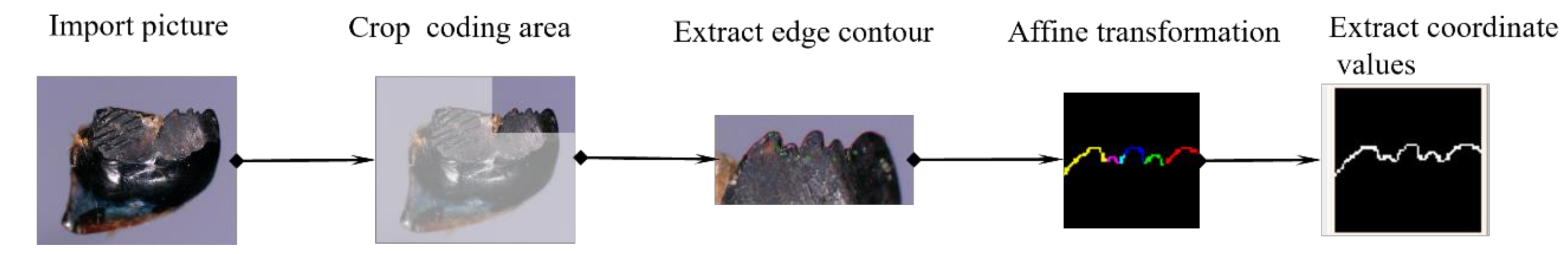 Agriculture 13 02231 g005