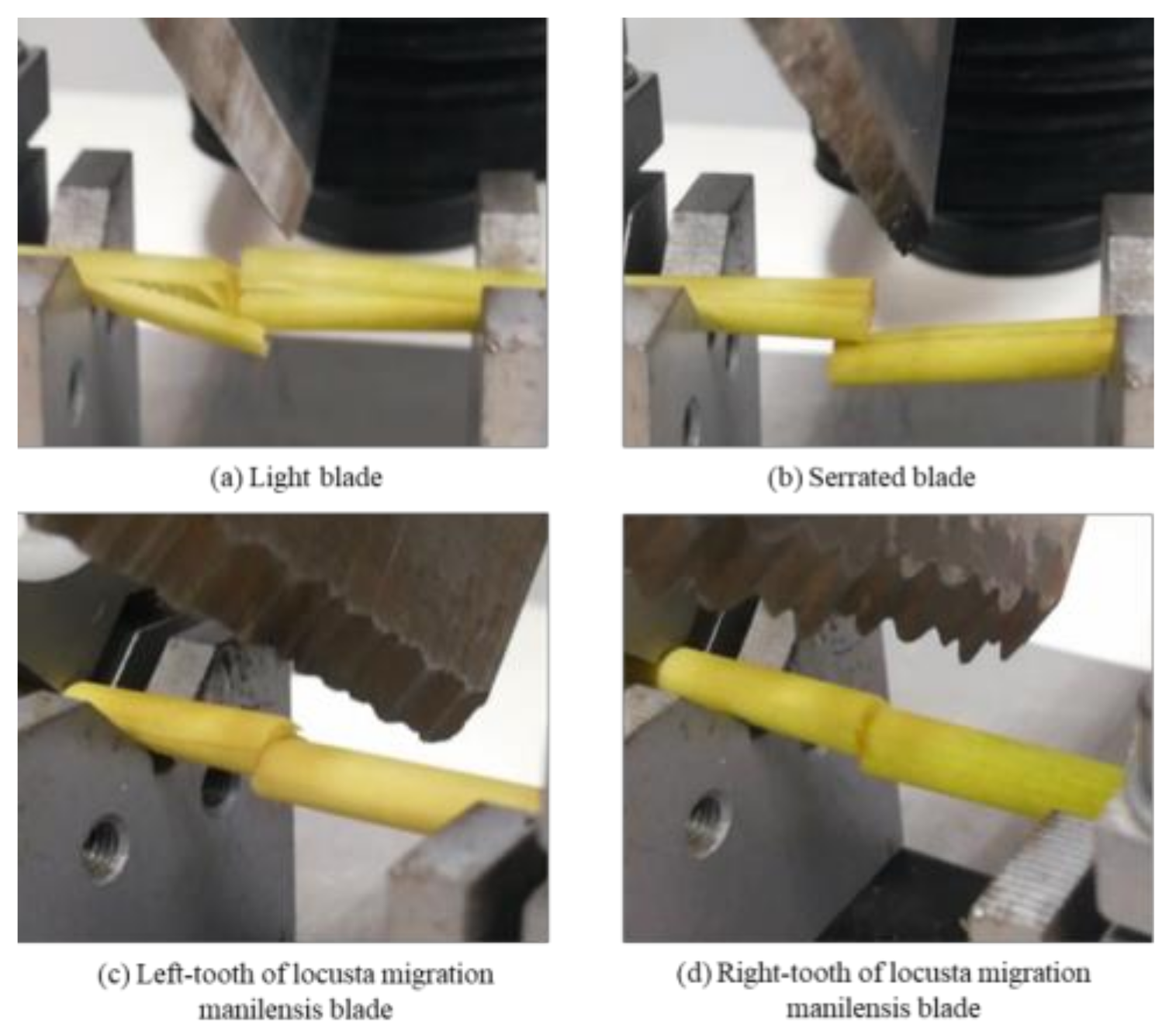 Agriculture 13 02231 g023