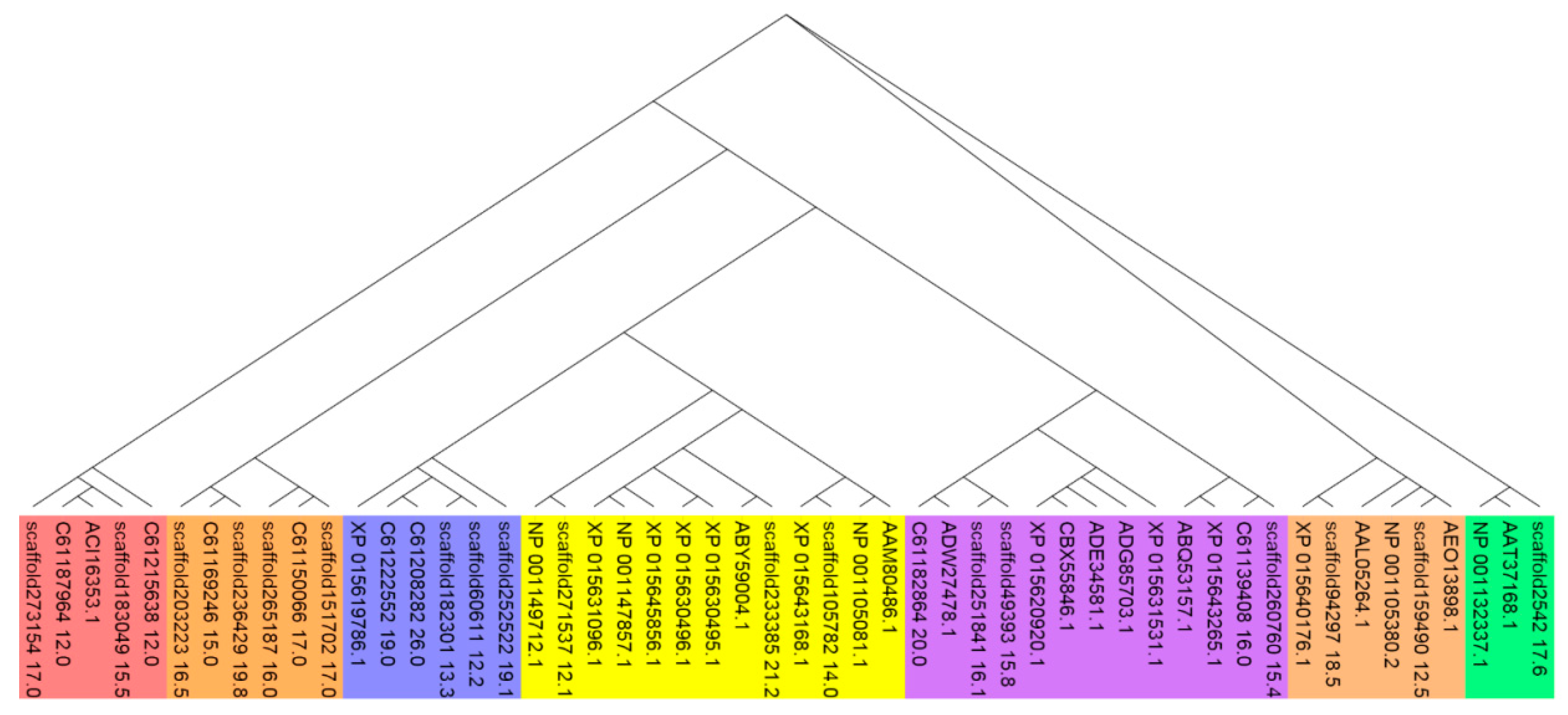 Agriculture 13 02243 g005 Agriculture 13 02243 g005