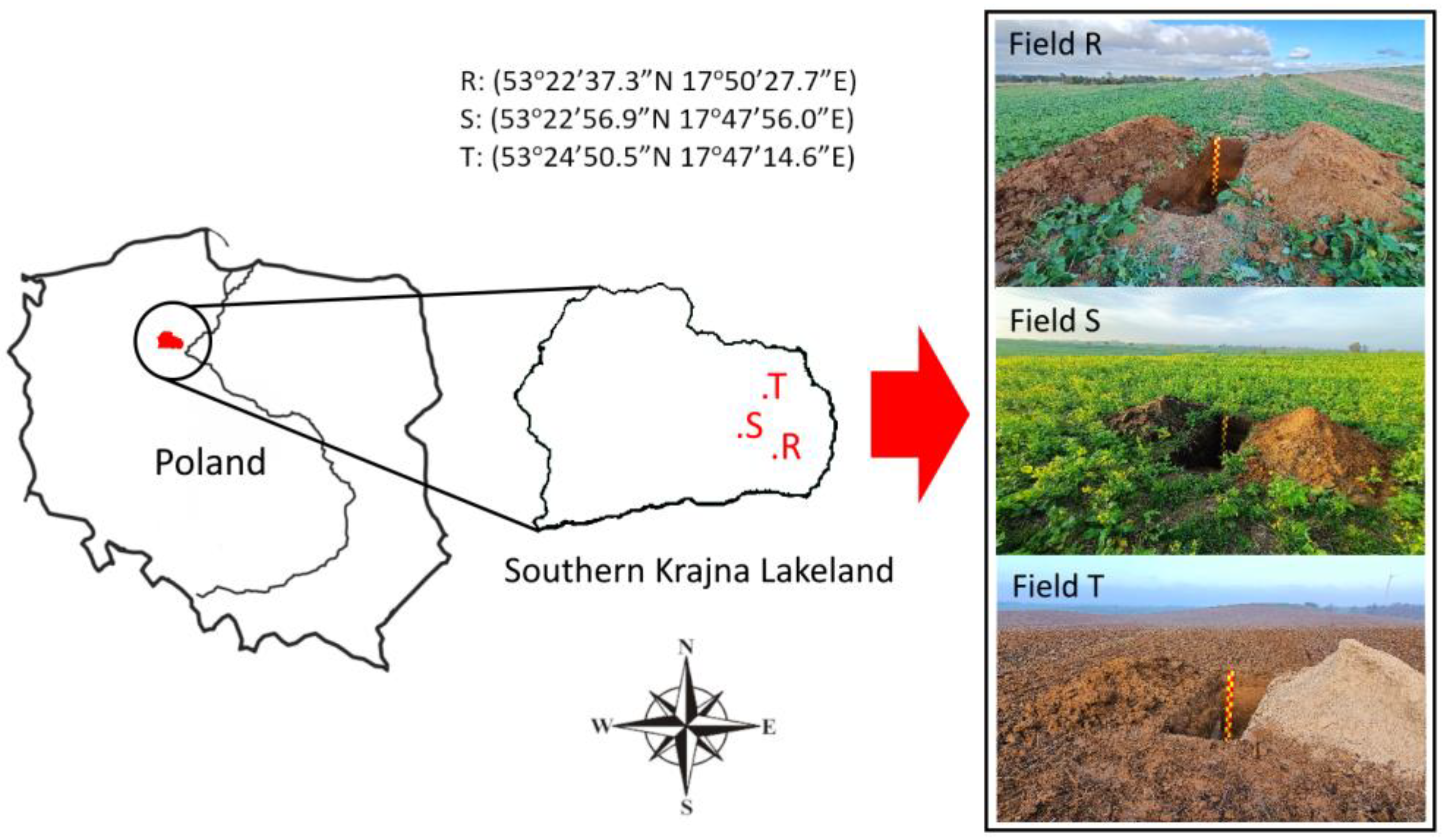 Agriculture 13 02247 g001 Agriculture 13 02247 g001