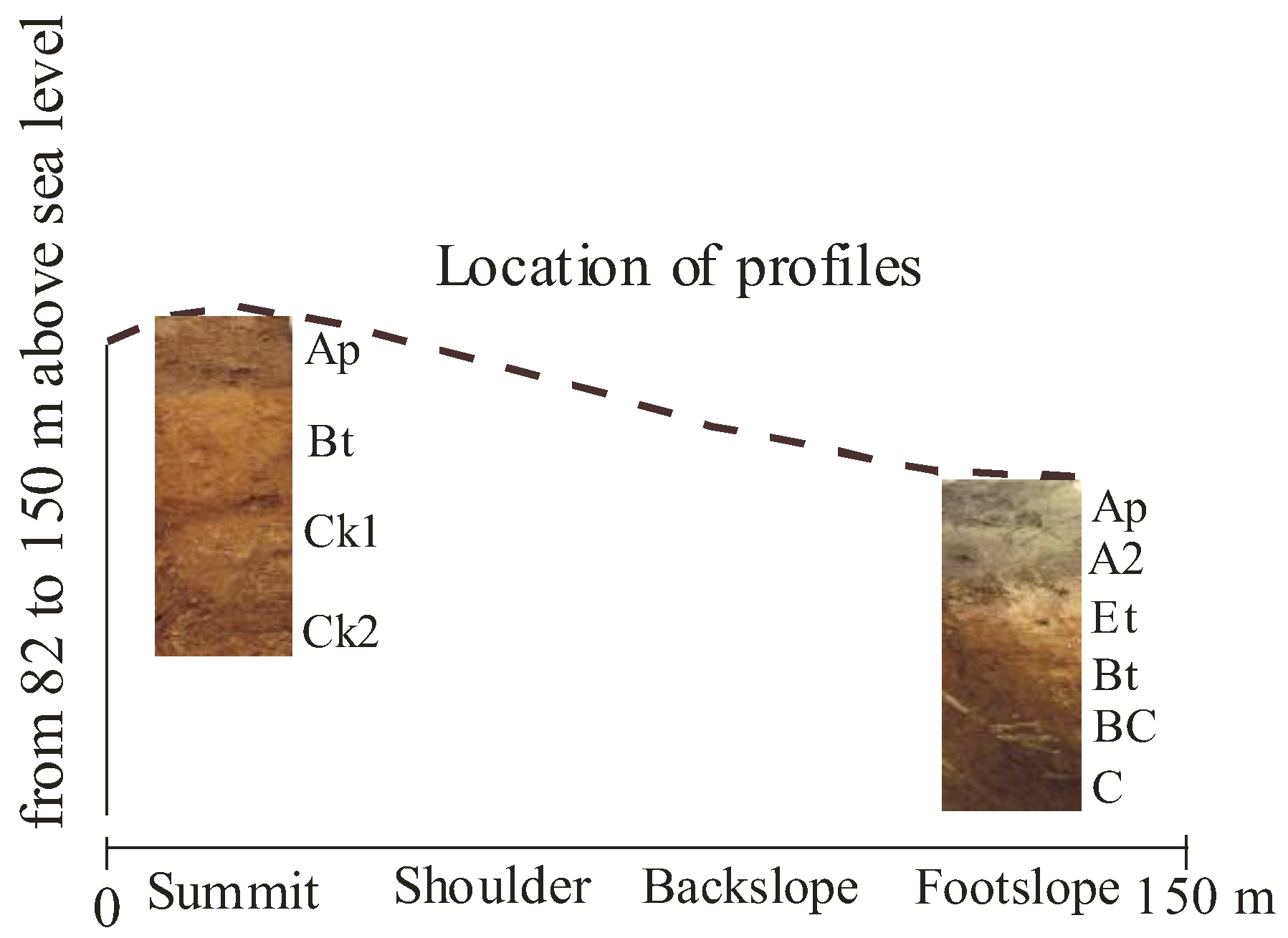 Agriculture 13 02247 g002 Agriculture 13 02247 g002