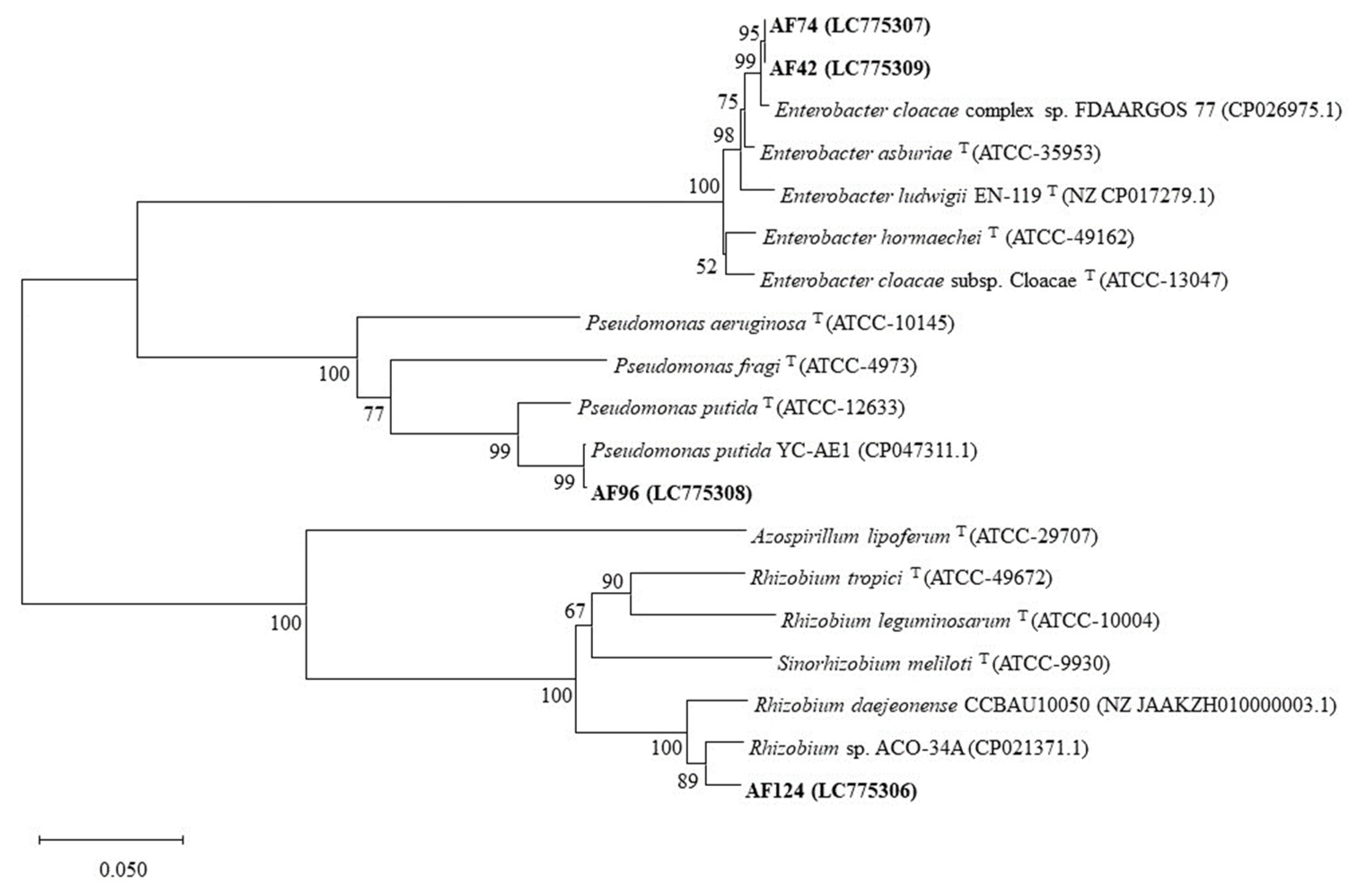 Agriculture 13 02252 g001