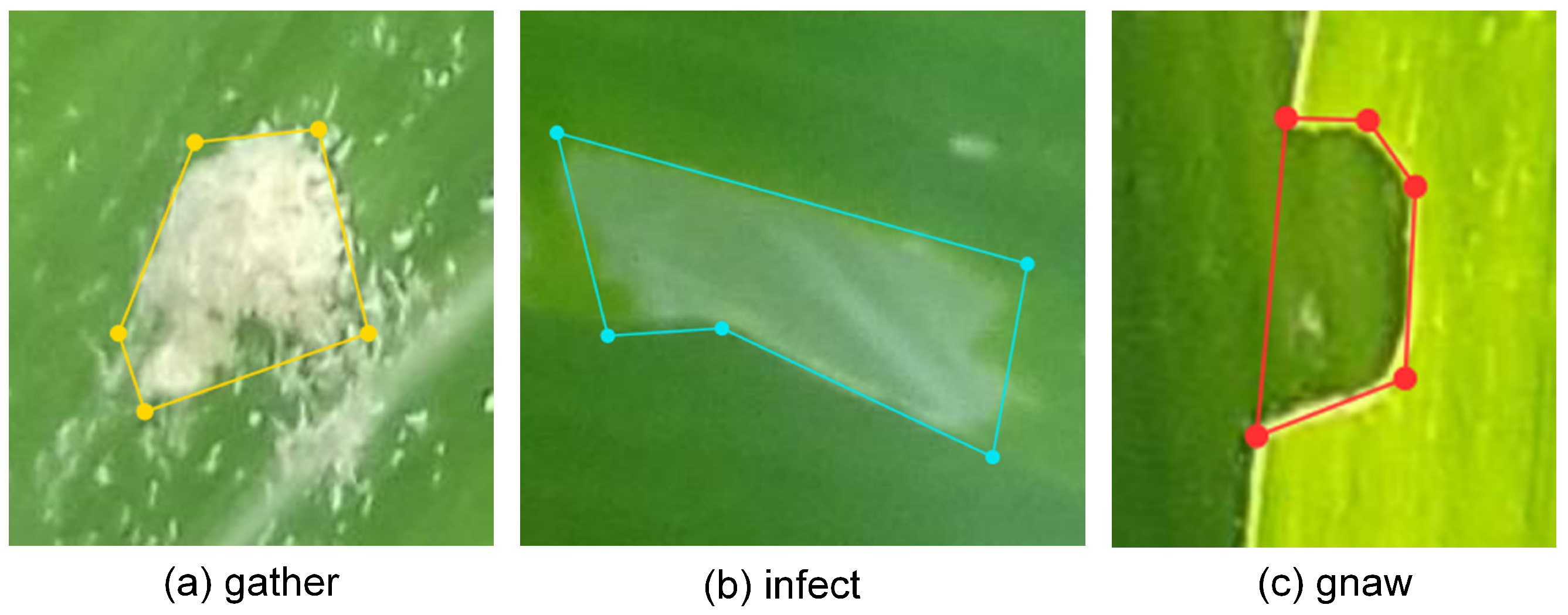 Agriculture 13 02253 g004