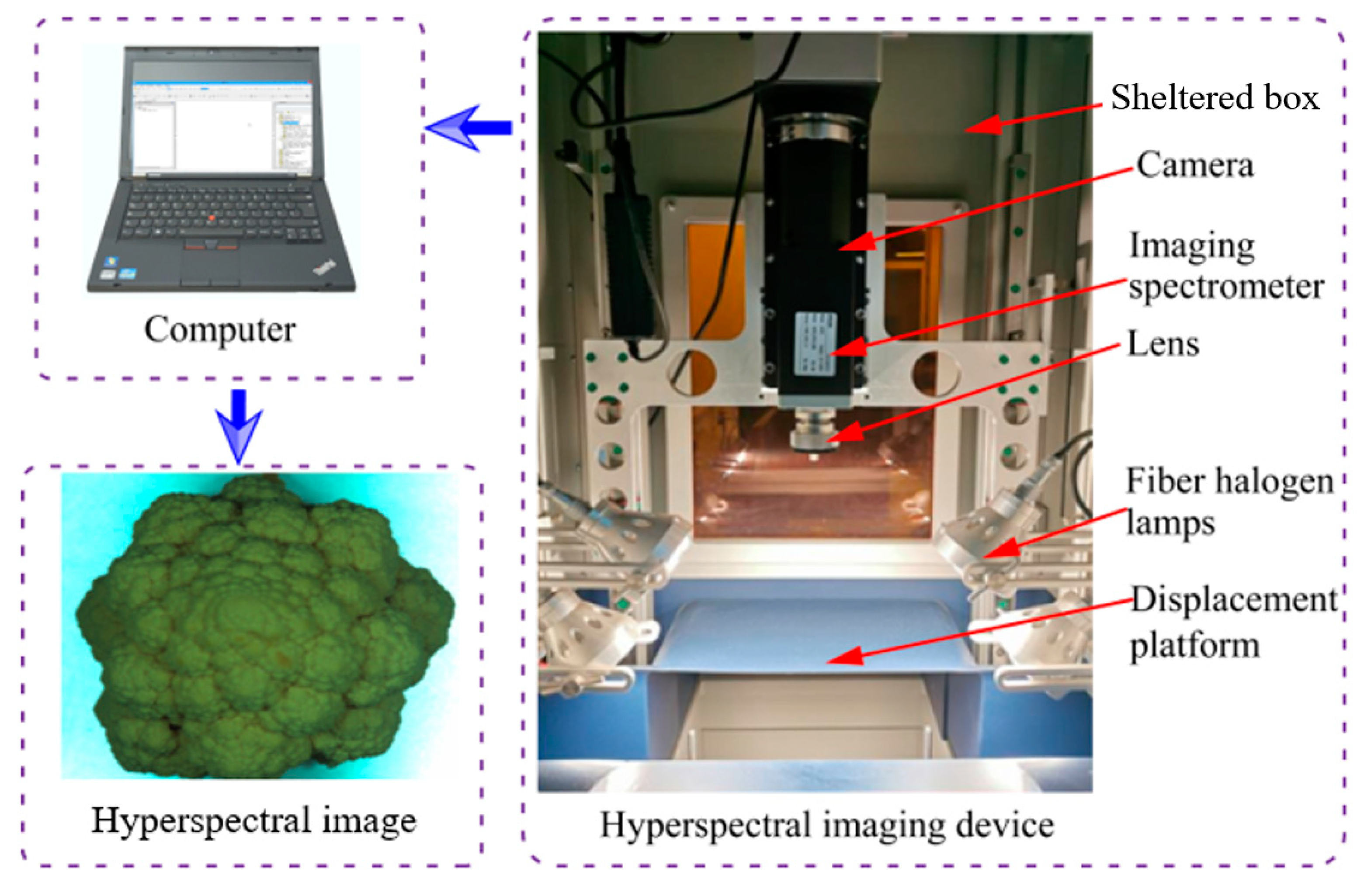 Agriculture 13 02254 g002