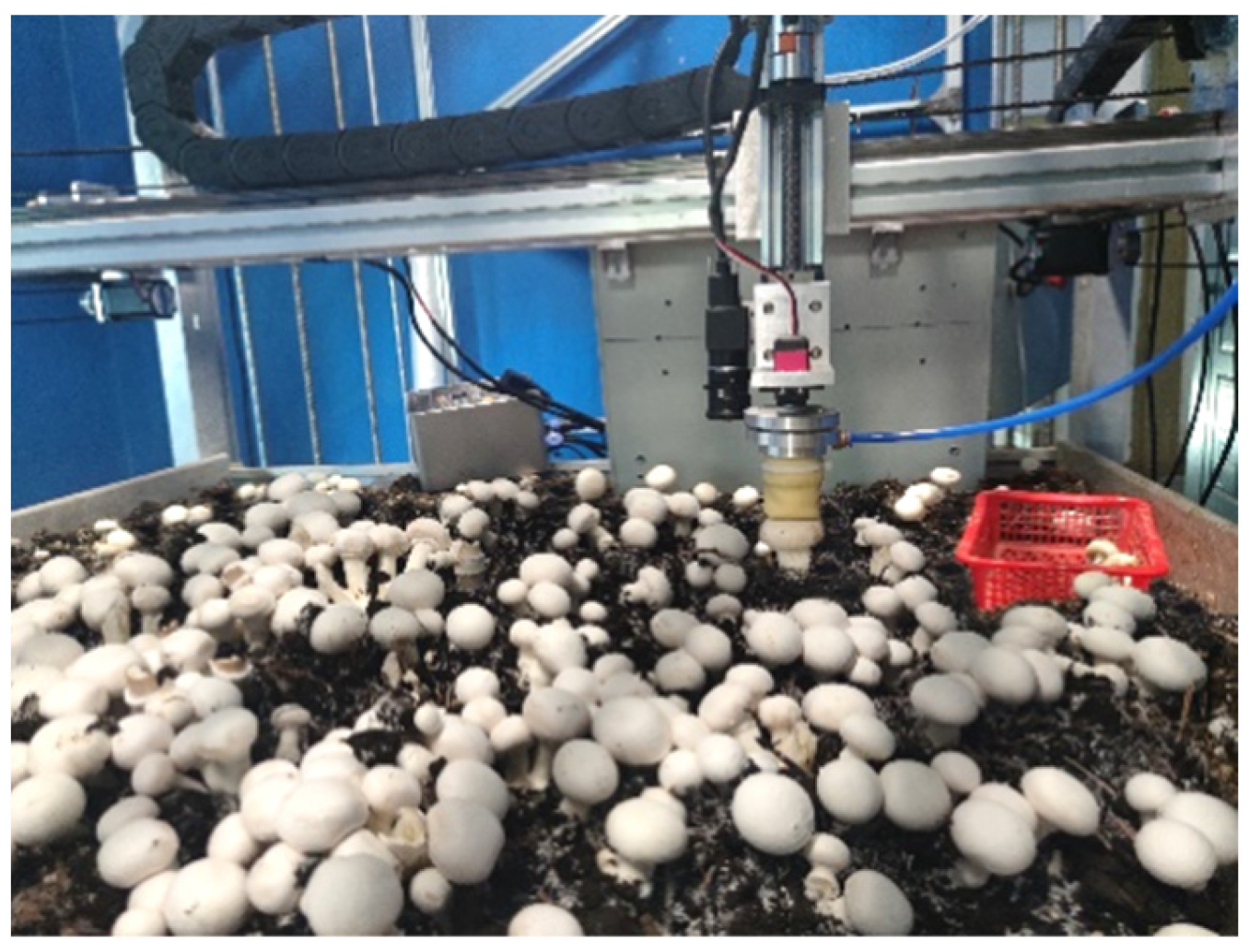 Agriculture 13 02256 g009