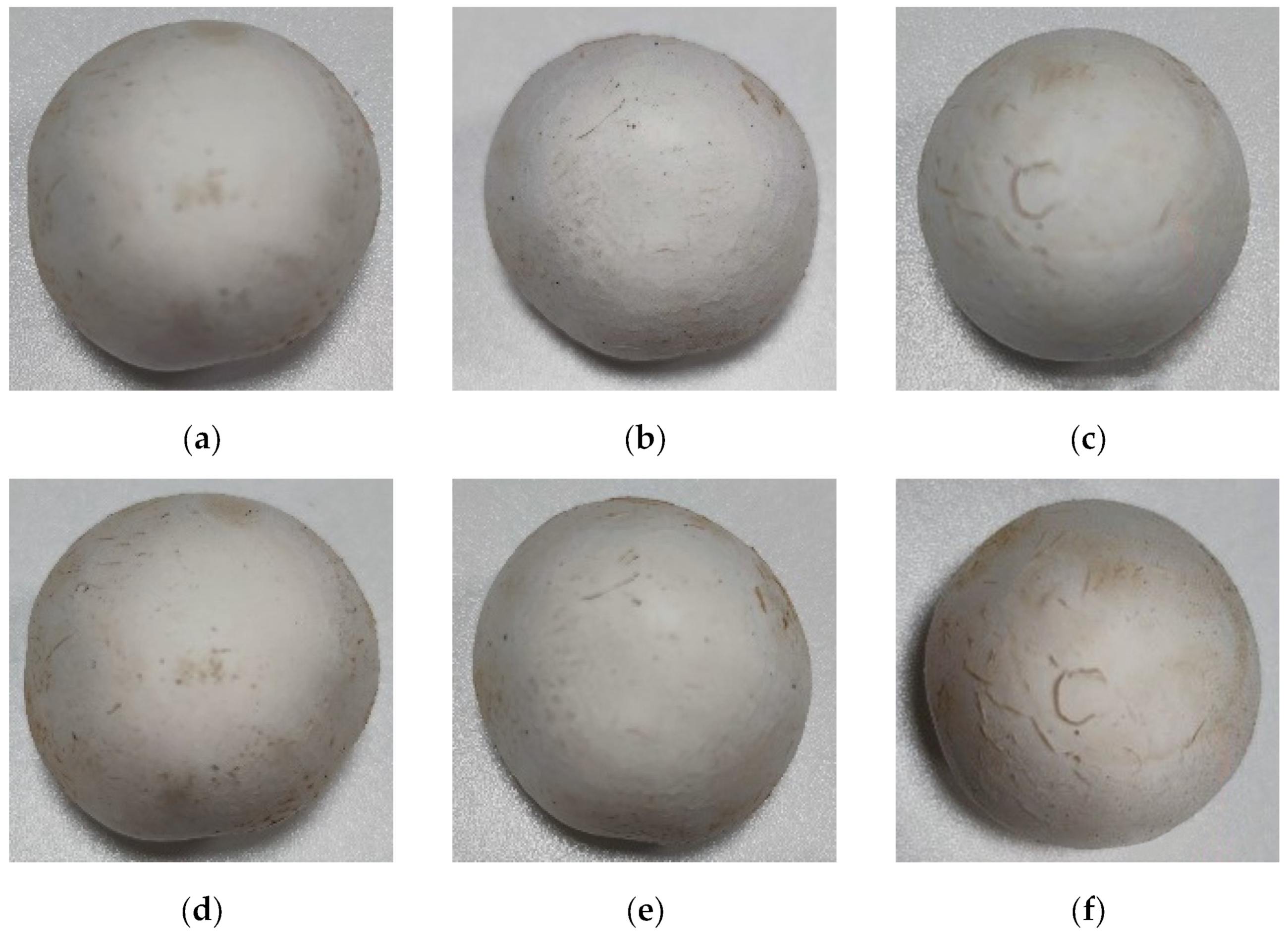 Agriculture 13 02256 g019