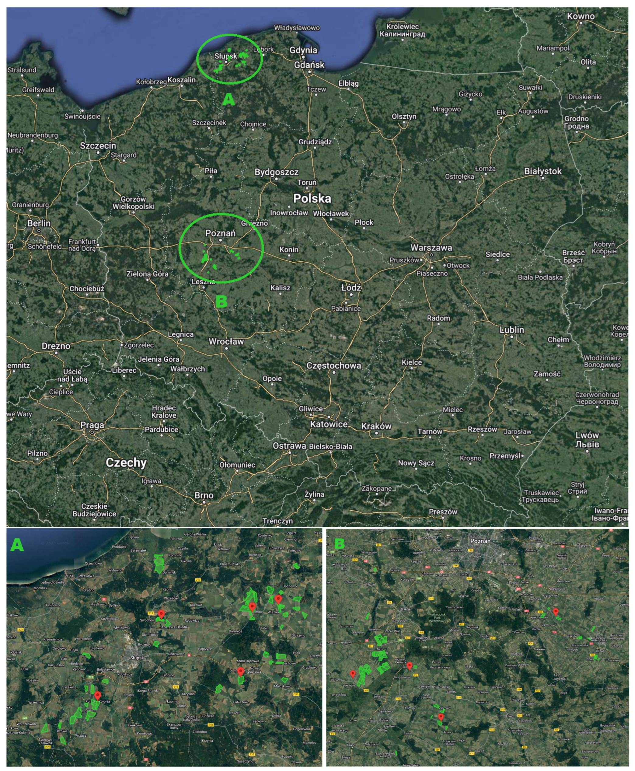 Agriculture 13 02259 g001