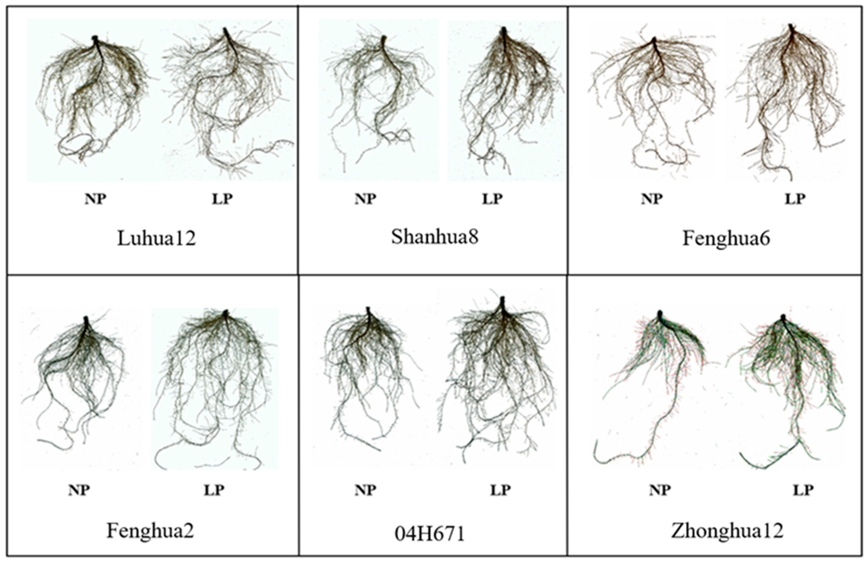 Agriculture 13 02270 g001