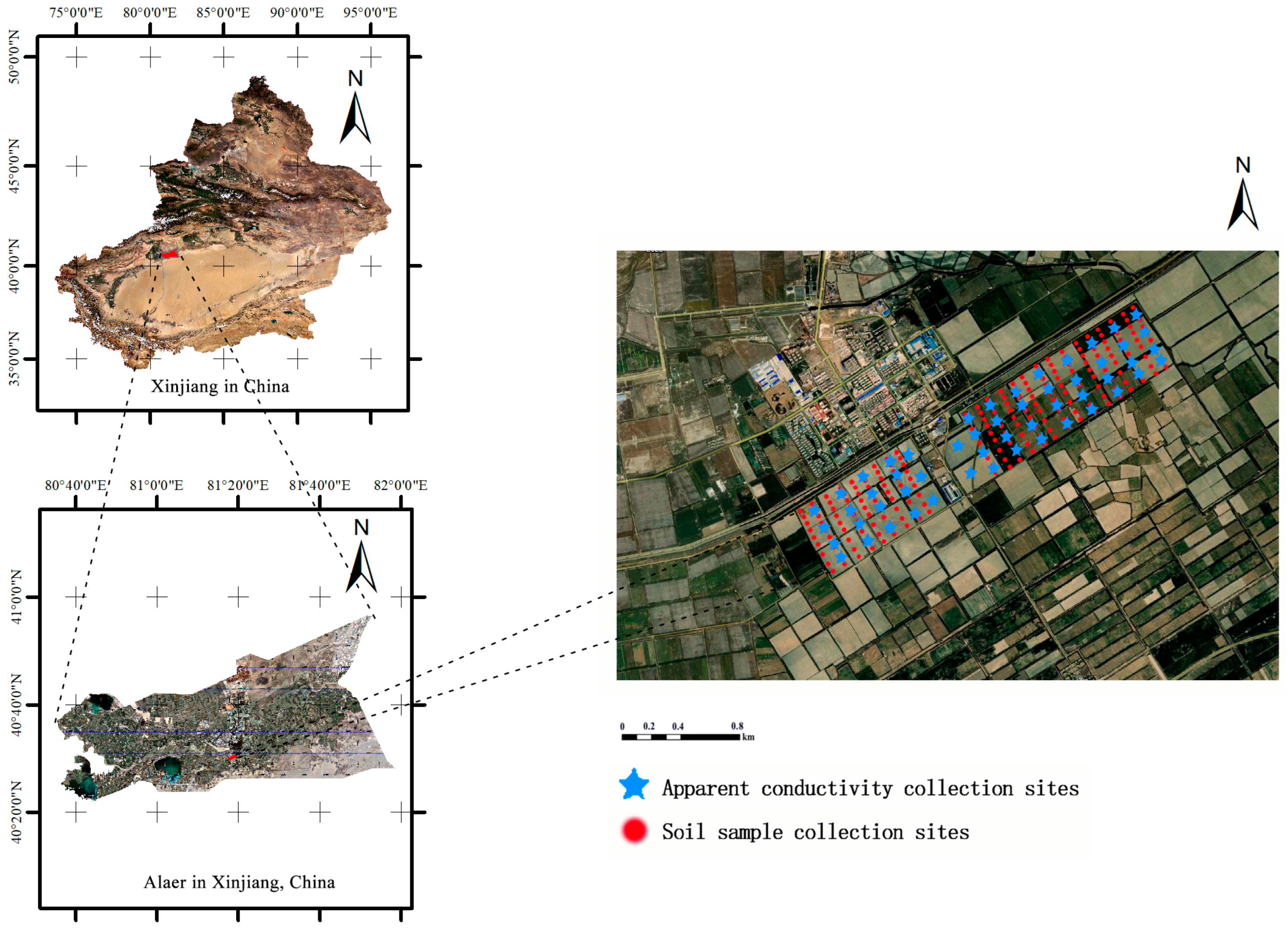 Agriculture 14 00003 g001