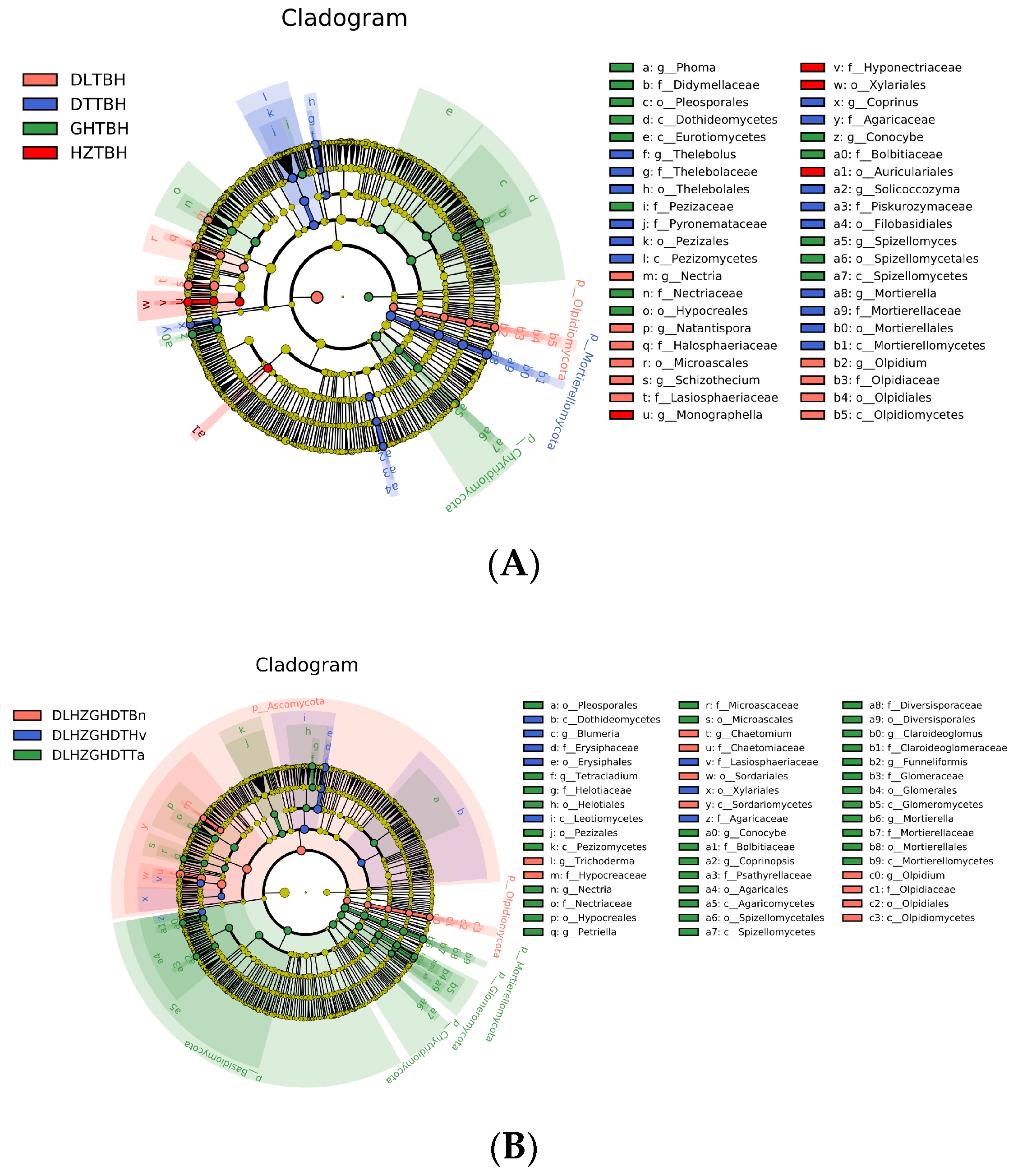 Agriculture 14 00006 g009
