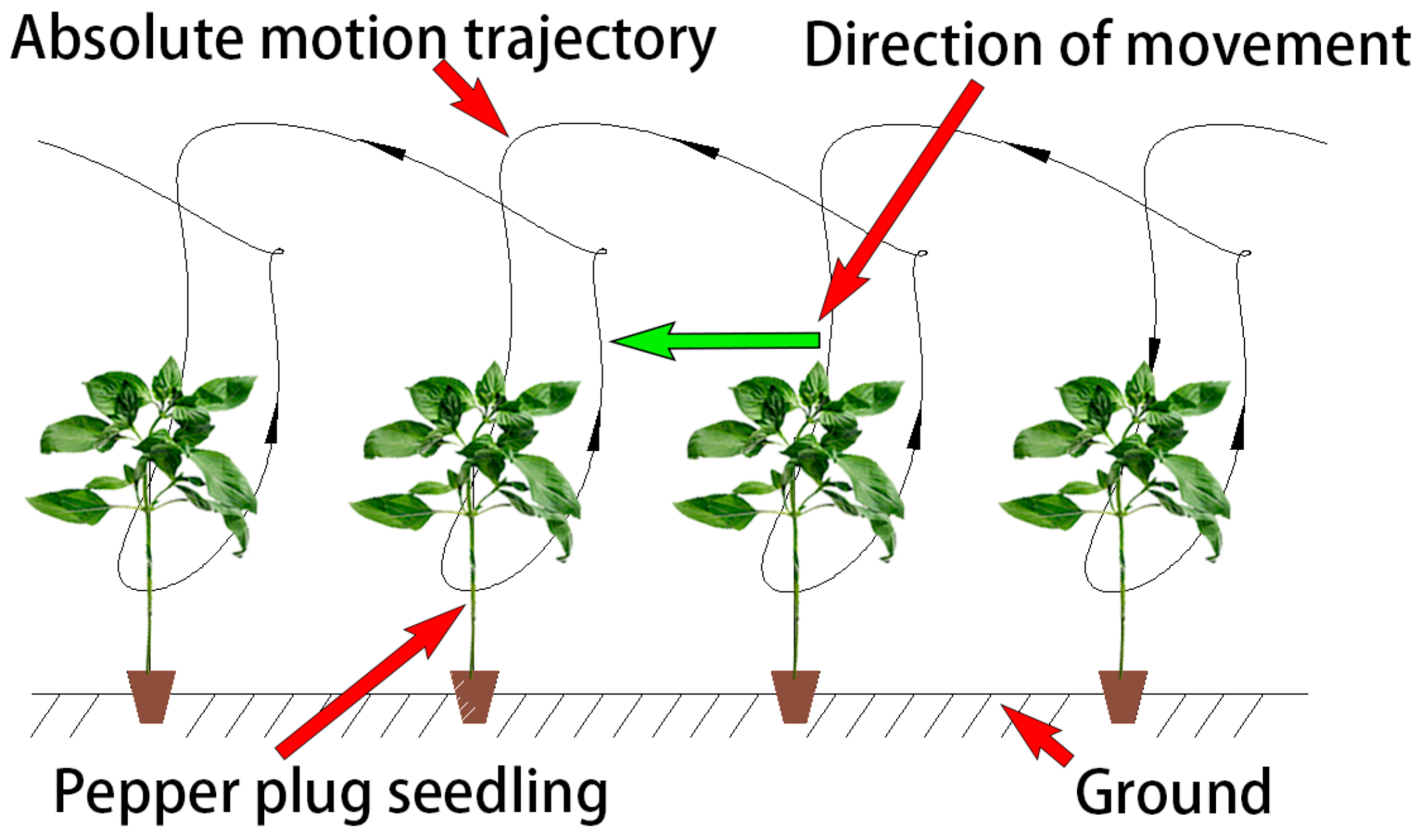 Agriculture 14 00011 g007