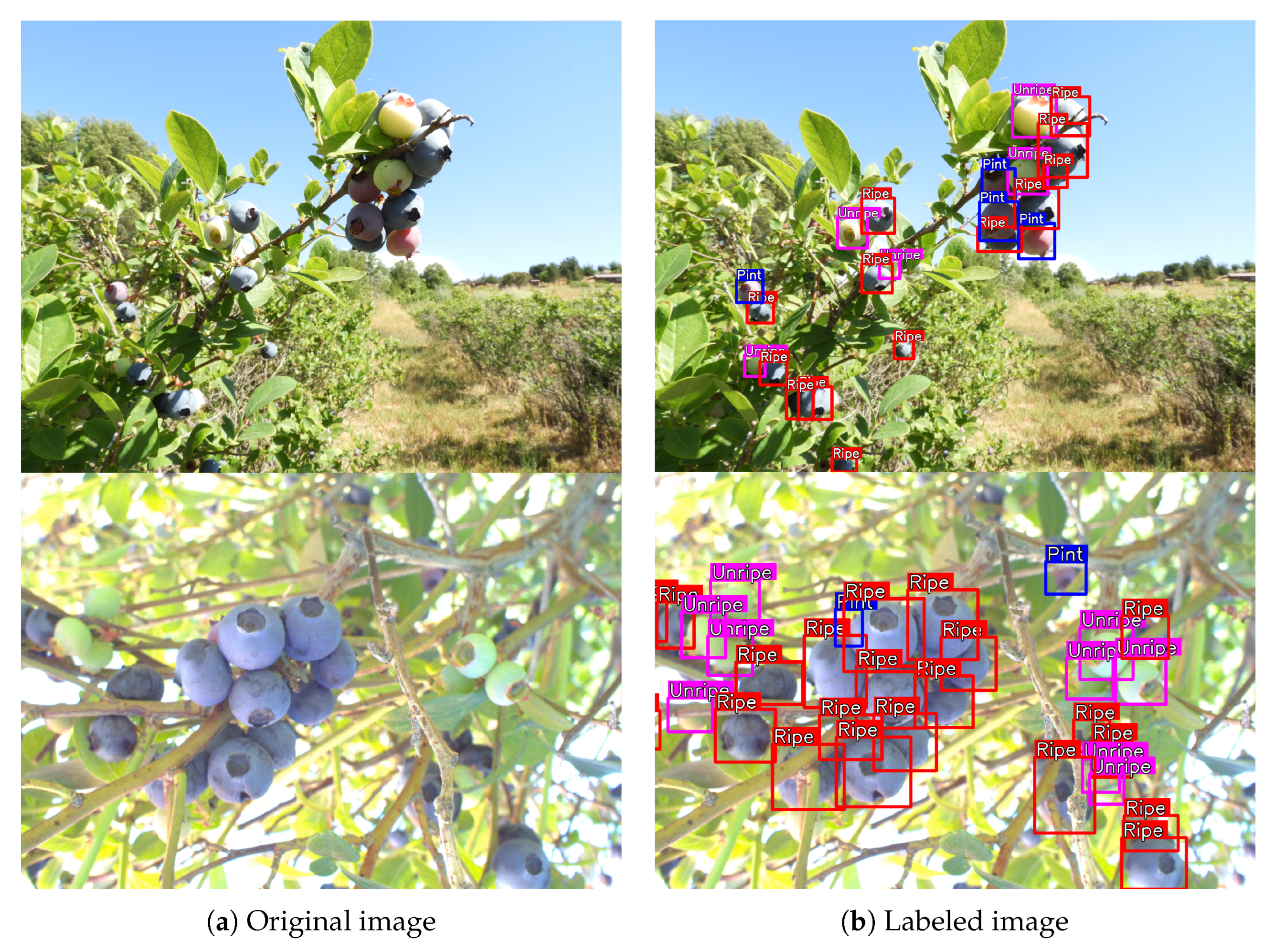 Agriculture 14 00018 g002