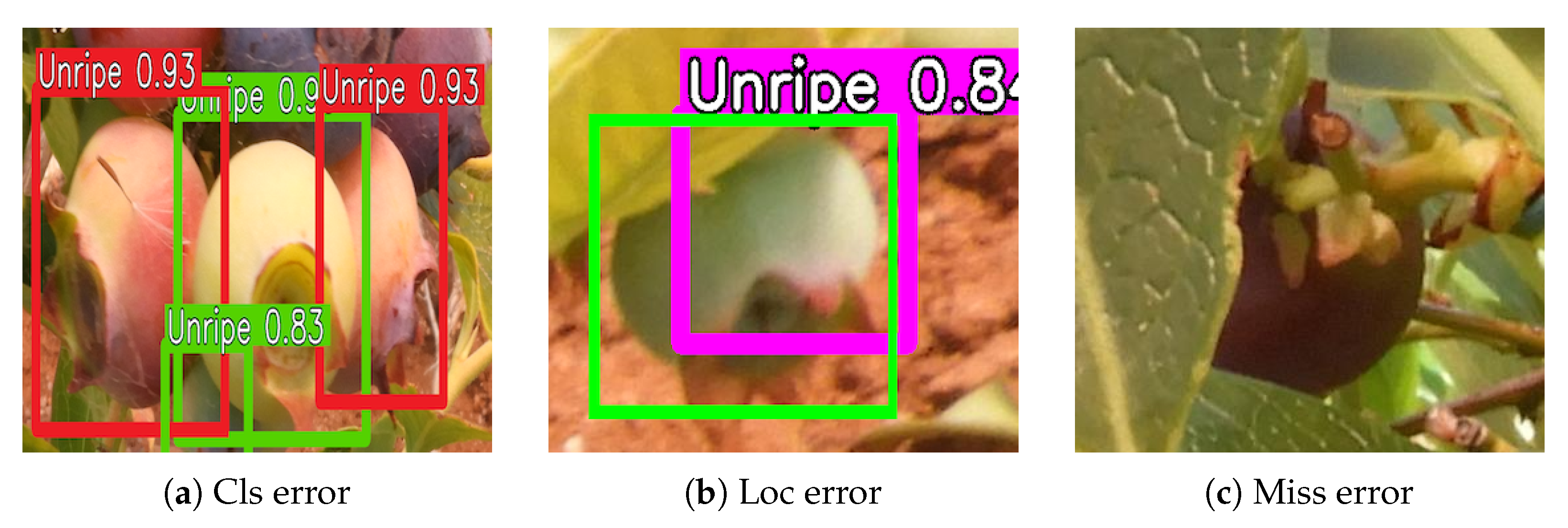 Agriculture 14 00018 g005