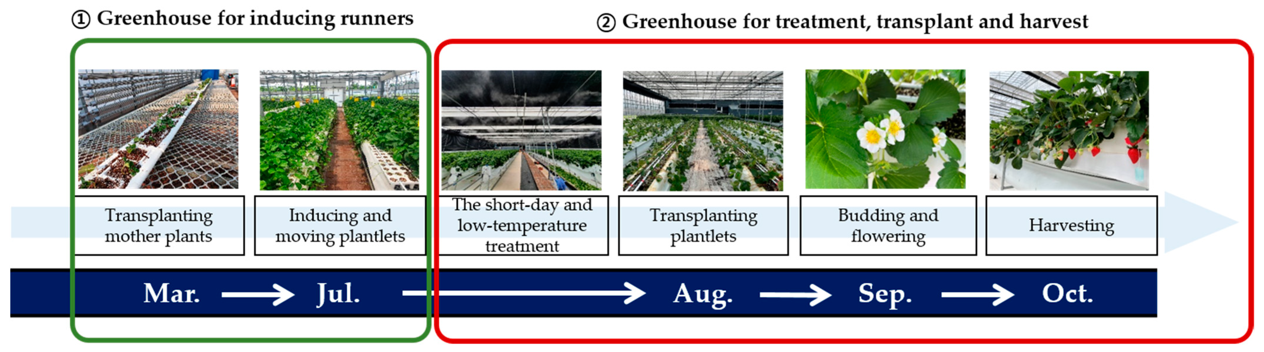 Agriculture 14 00022 g001