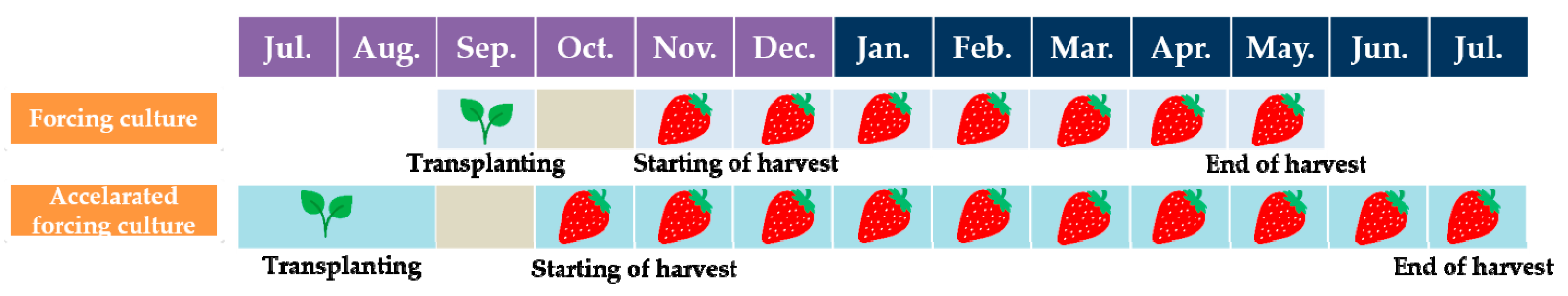 Agriculture 14 00022 g010