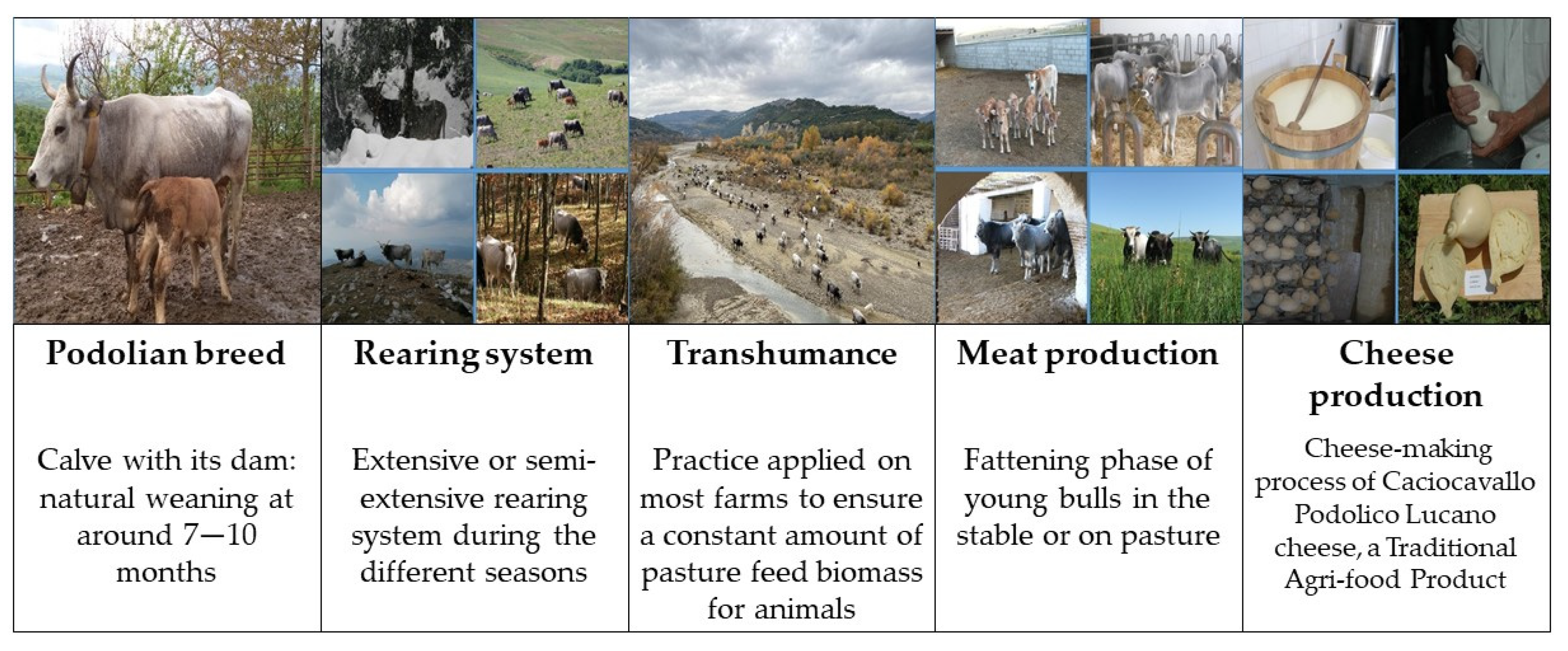 Agriculture 14 00028 g001