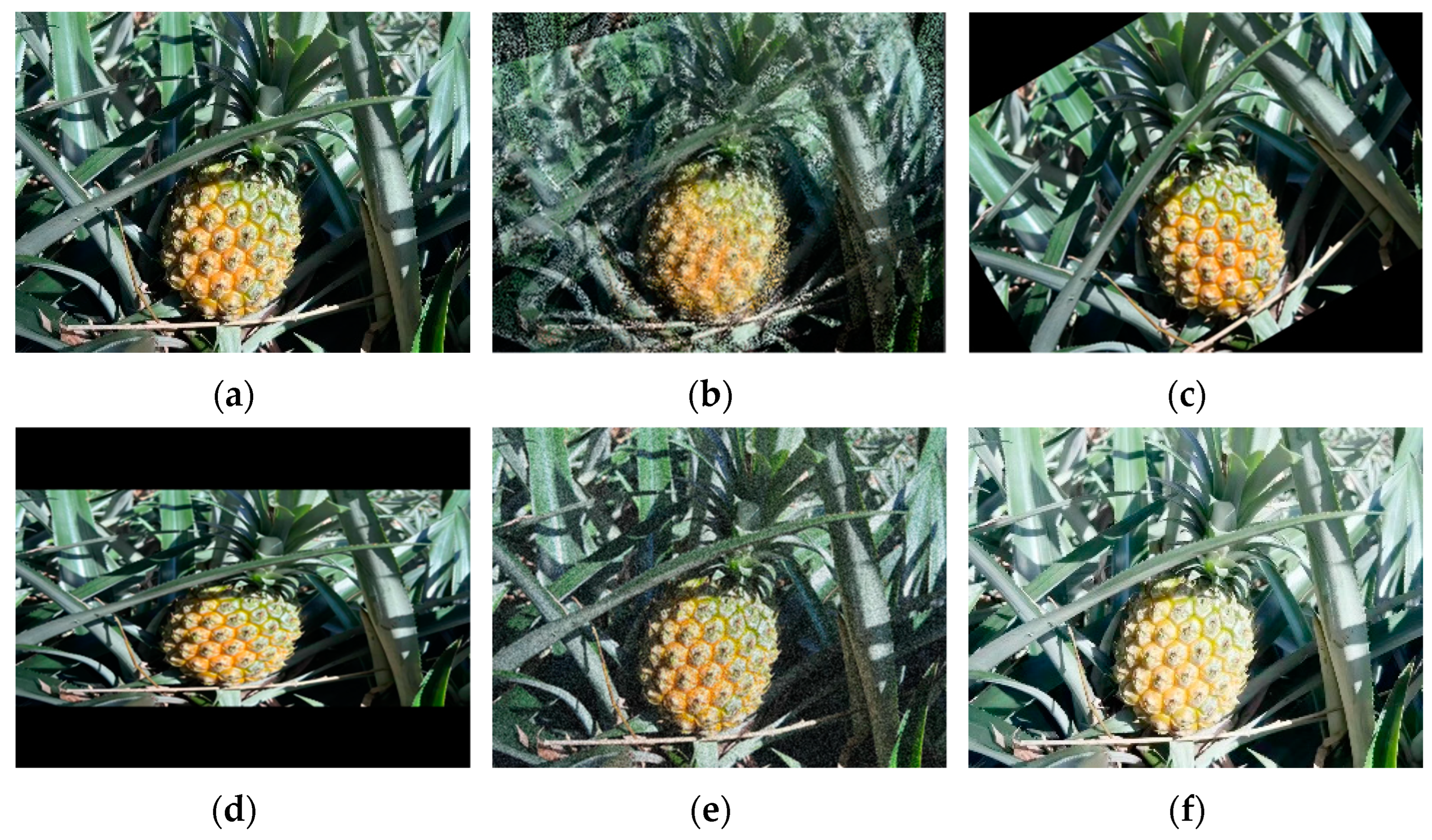 Agriculture 14 00029 g002