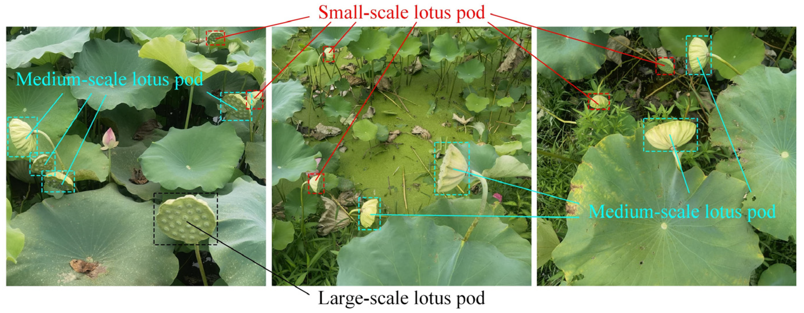 Agriculture 14 00030 g002