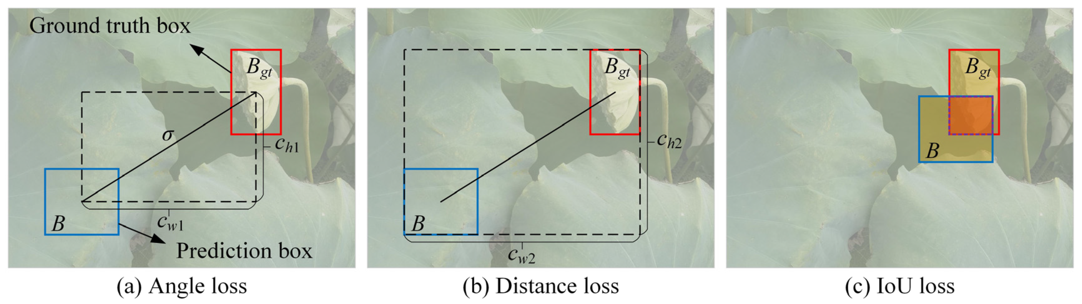 Agriculture 14 00030 g011