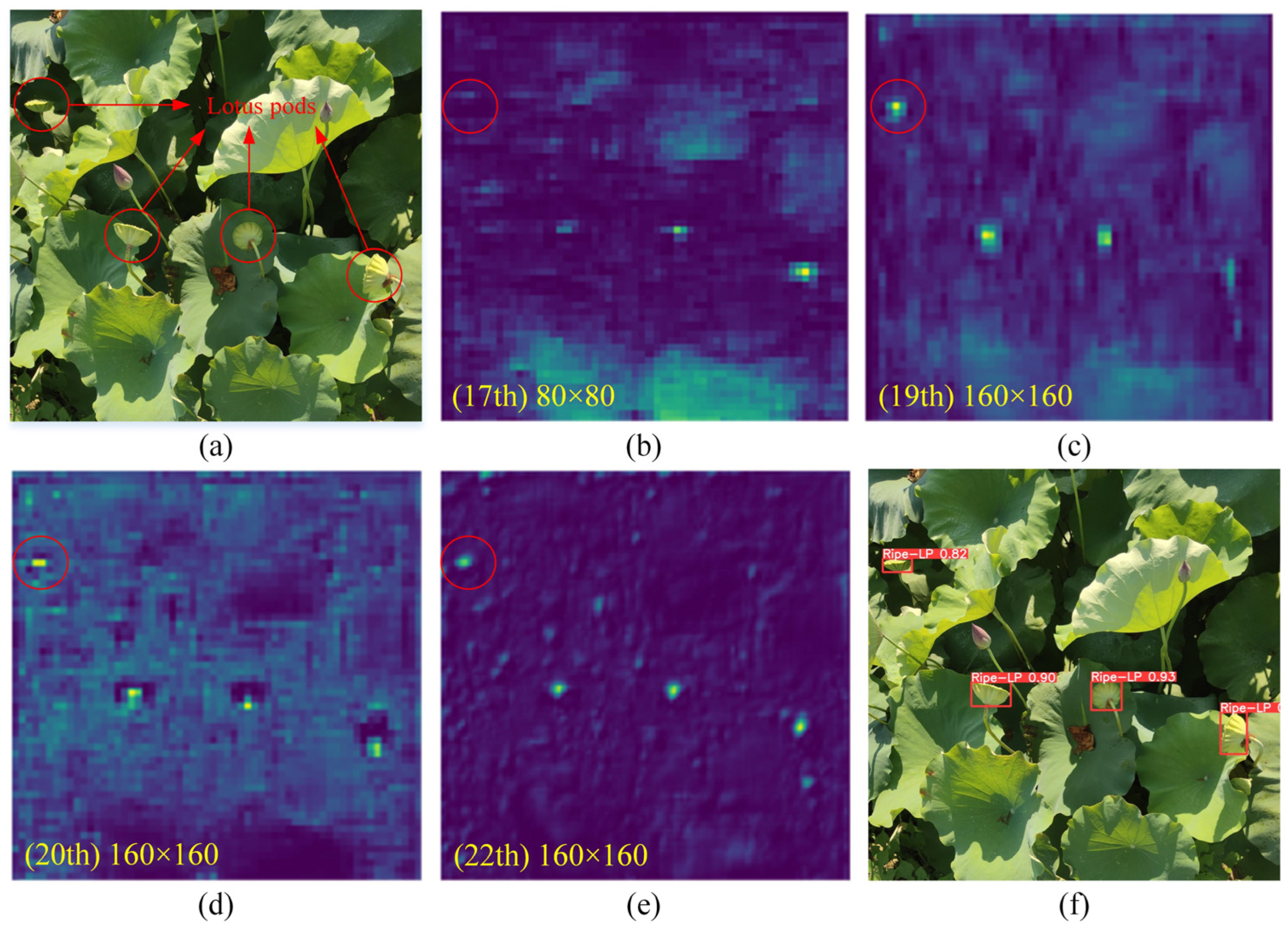 Agriculture 14 00030 g013