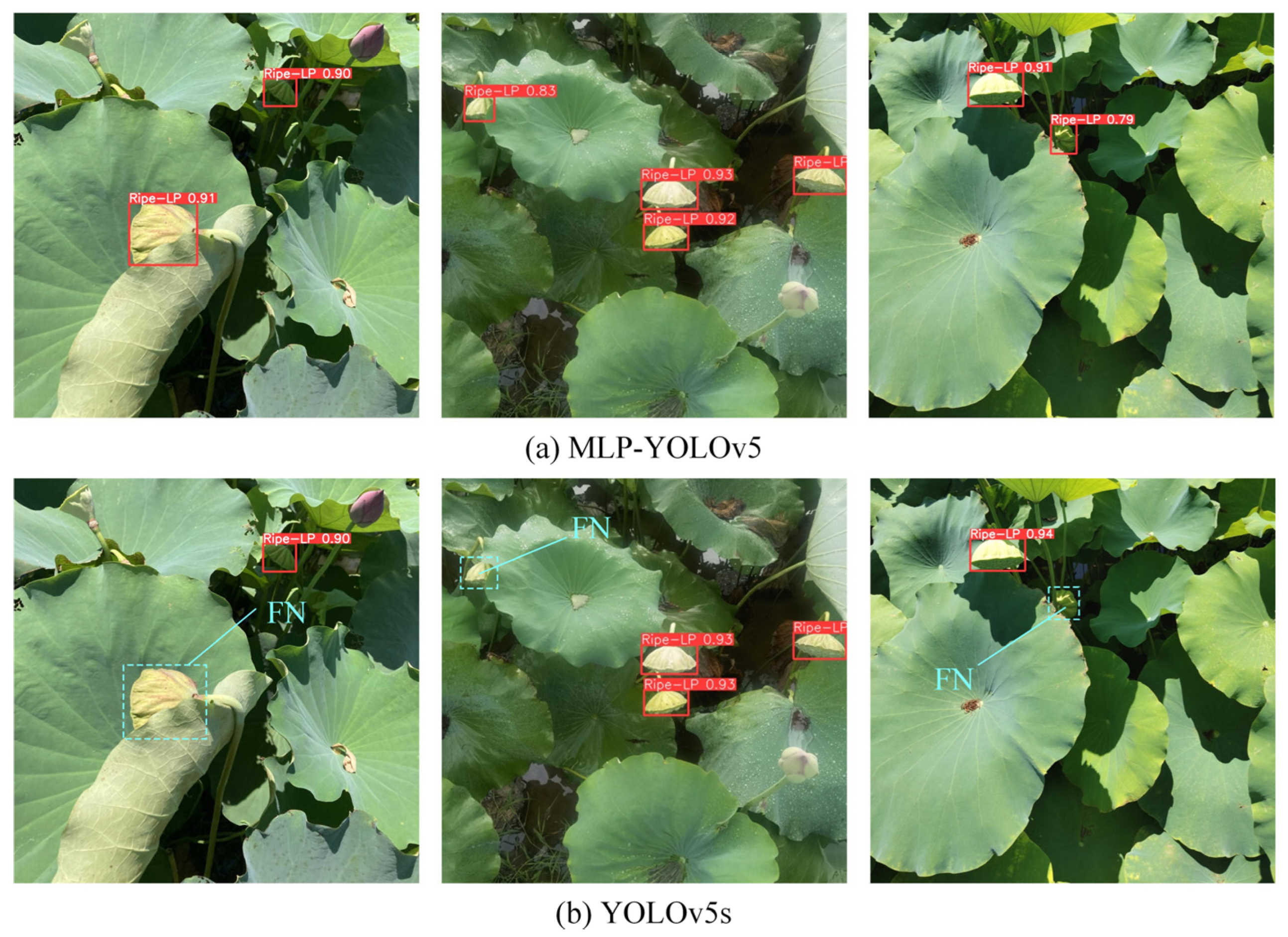 Agriculture 14 00030 g015