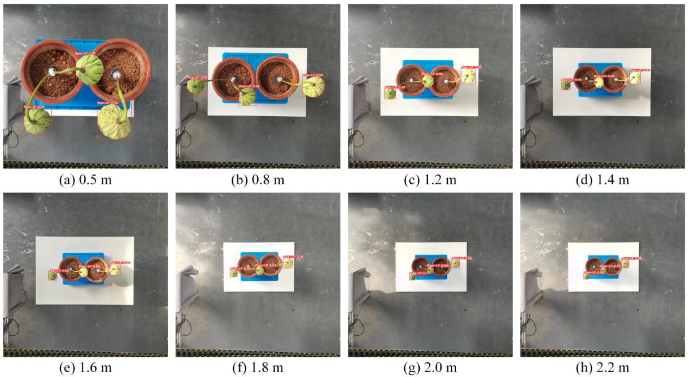 Agriculture 14 00030 g020