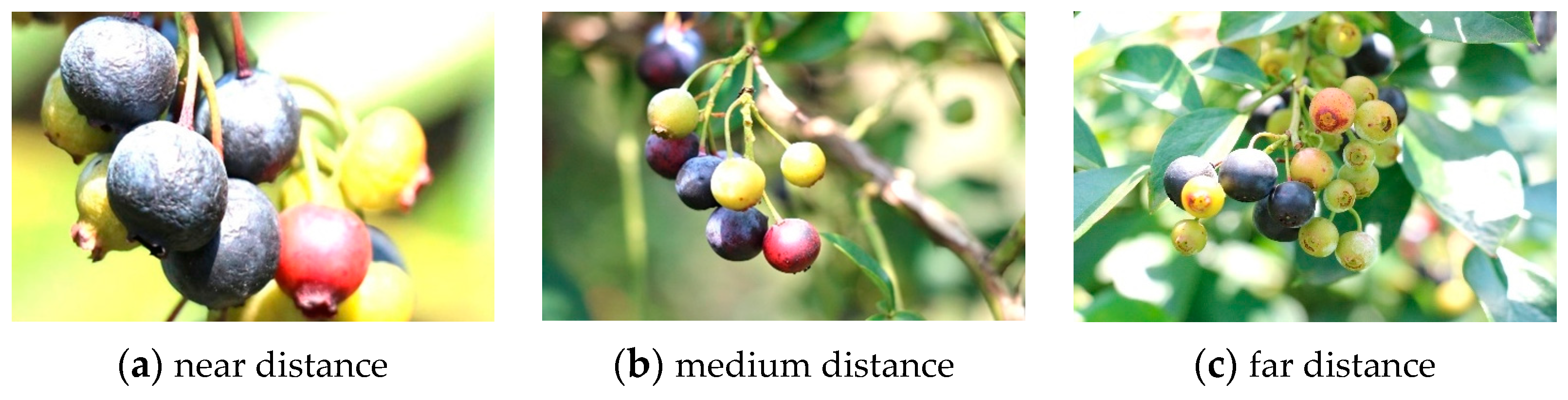 Agriculture 14 00036 g002